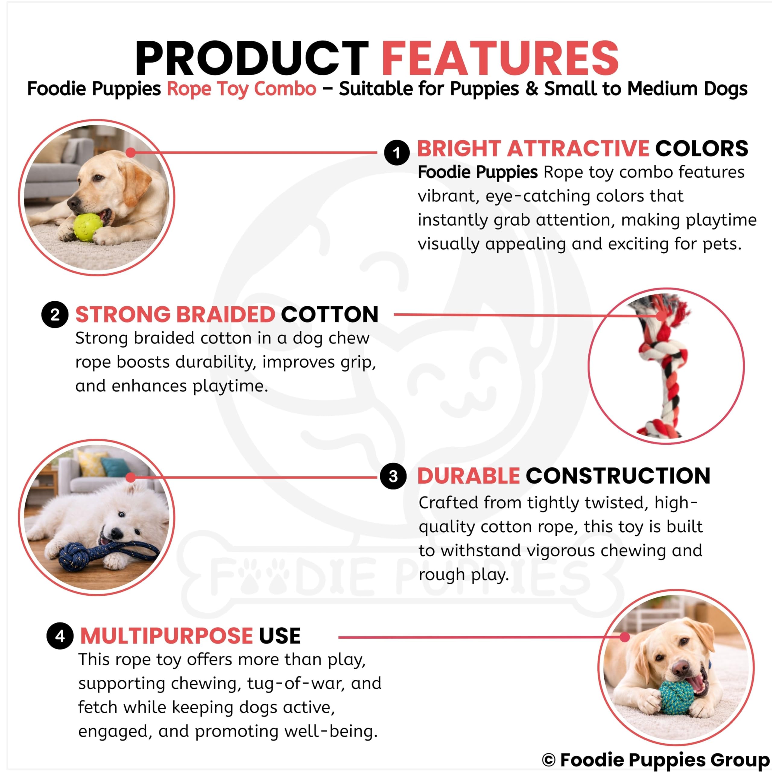Foodie Puppies 5-in-1 chew Toy Combo Includes Ropes and Squeaky Balls, Supporting Teething, Training, Chewing, Fetching, and Active Play for Small Dogs. (Color May Vary) 2
