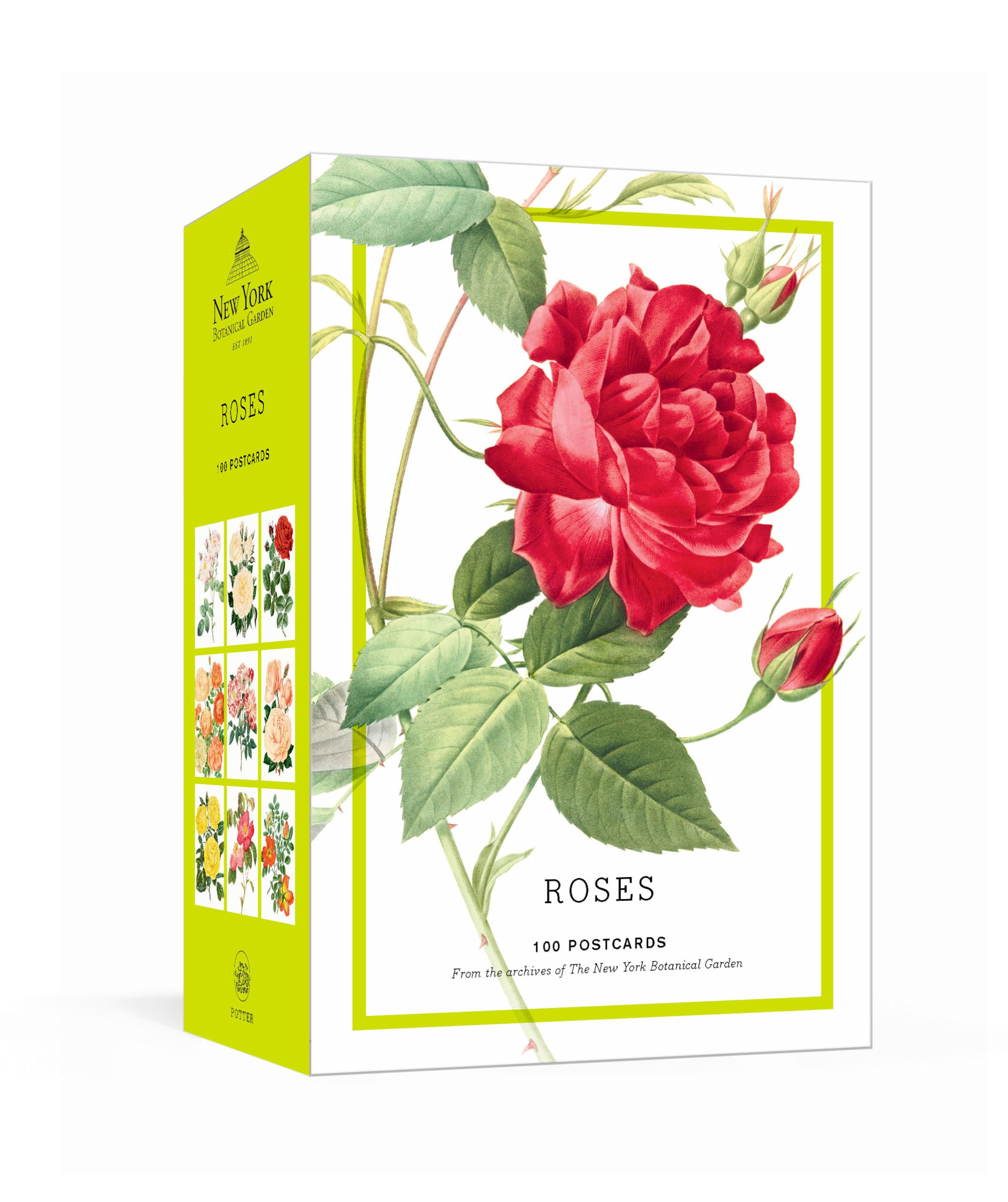 Roses NYBG 100 Postcards pour décorer un intérieur chic et fleuri