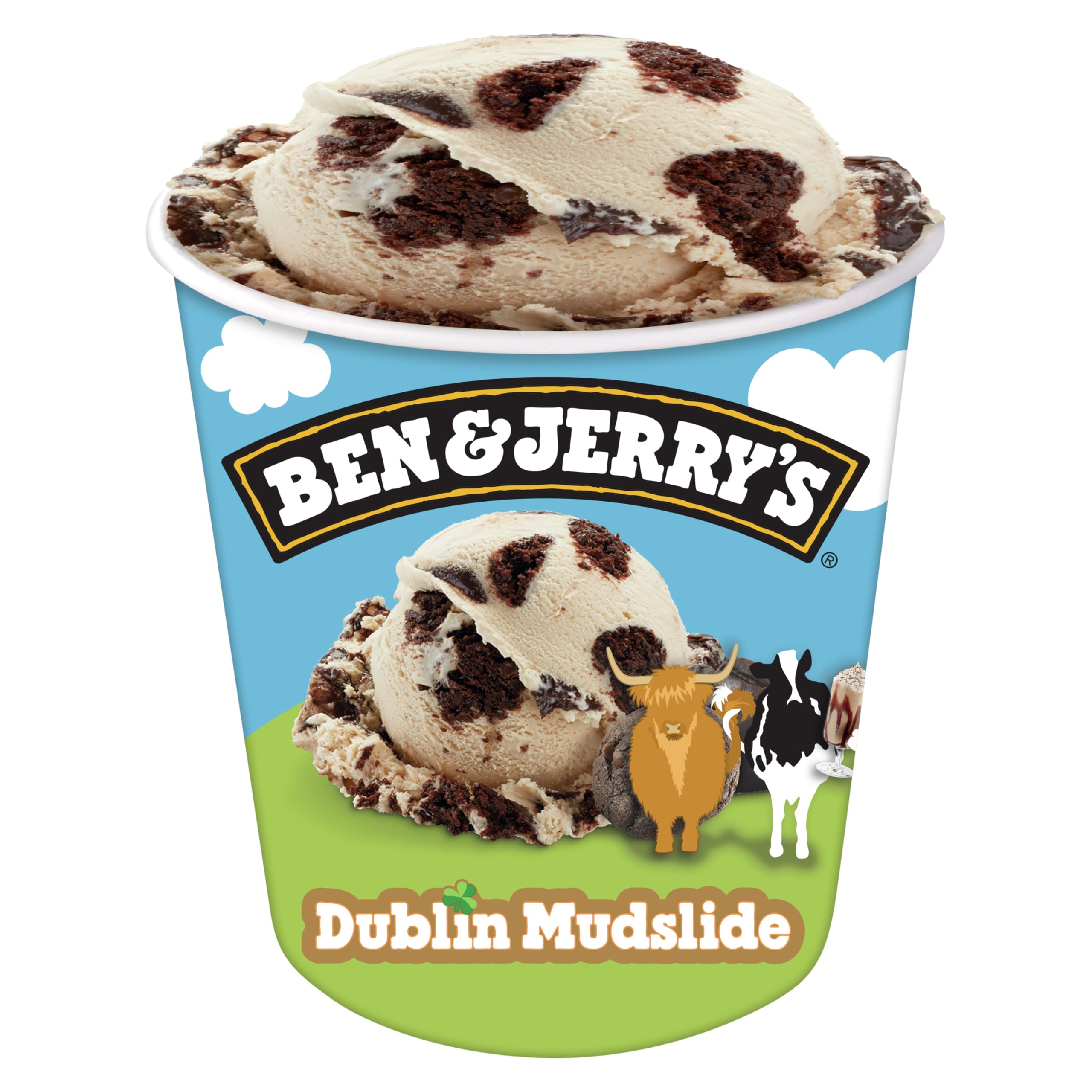 Ben Jerrys Dublin Mudslide Irish Cream Ice Cream Pint Non-GMO 16oz
