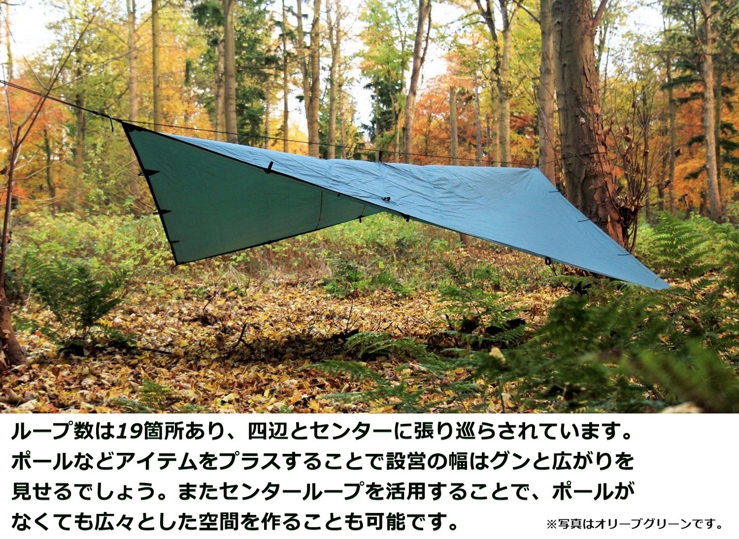 Amazon | DD Tarp タープ 4x4 耐水性 3000mm 使いやすい正方形タープ 