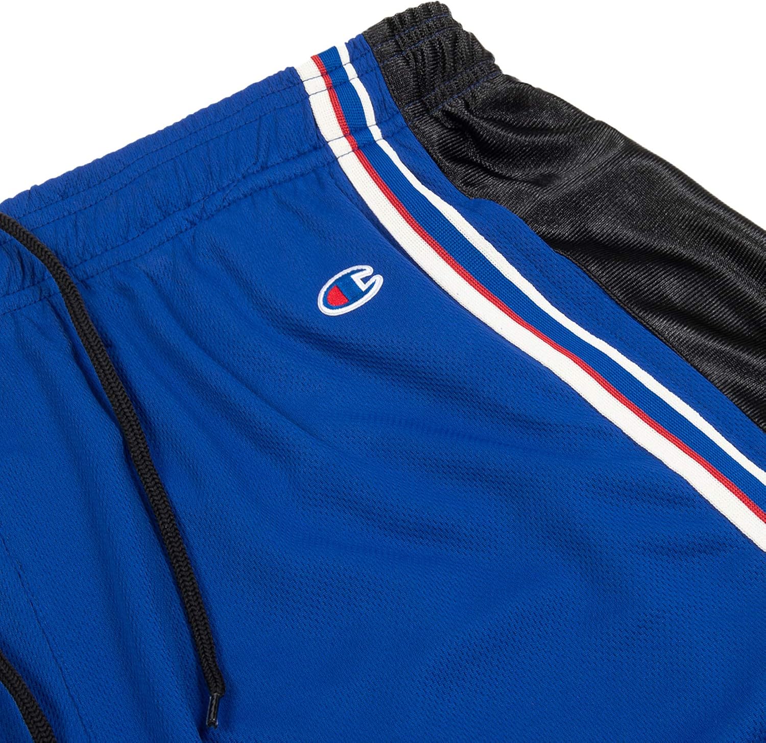 Champion Big and Tall Shorts for Men, 100% Polyester Mens Shorts : Clothing, Shoes & Jewelry