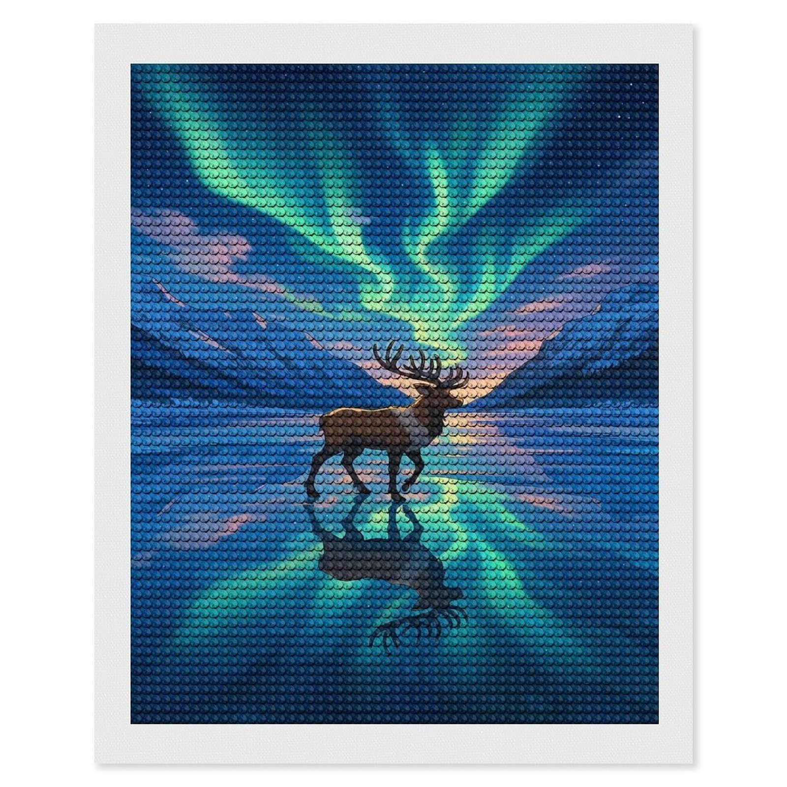 Junmoney Reindeer Under Aurora Borealis DIY Diamond Art Canvas Kit 16"x20", for Teens, Aesthetic Room Decor, Farmhouse Decor, Canvas Picture, Birthday Gift
