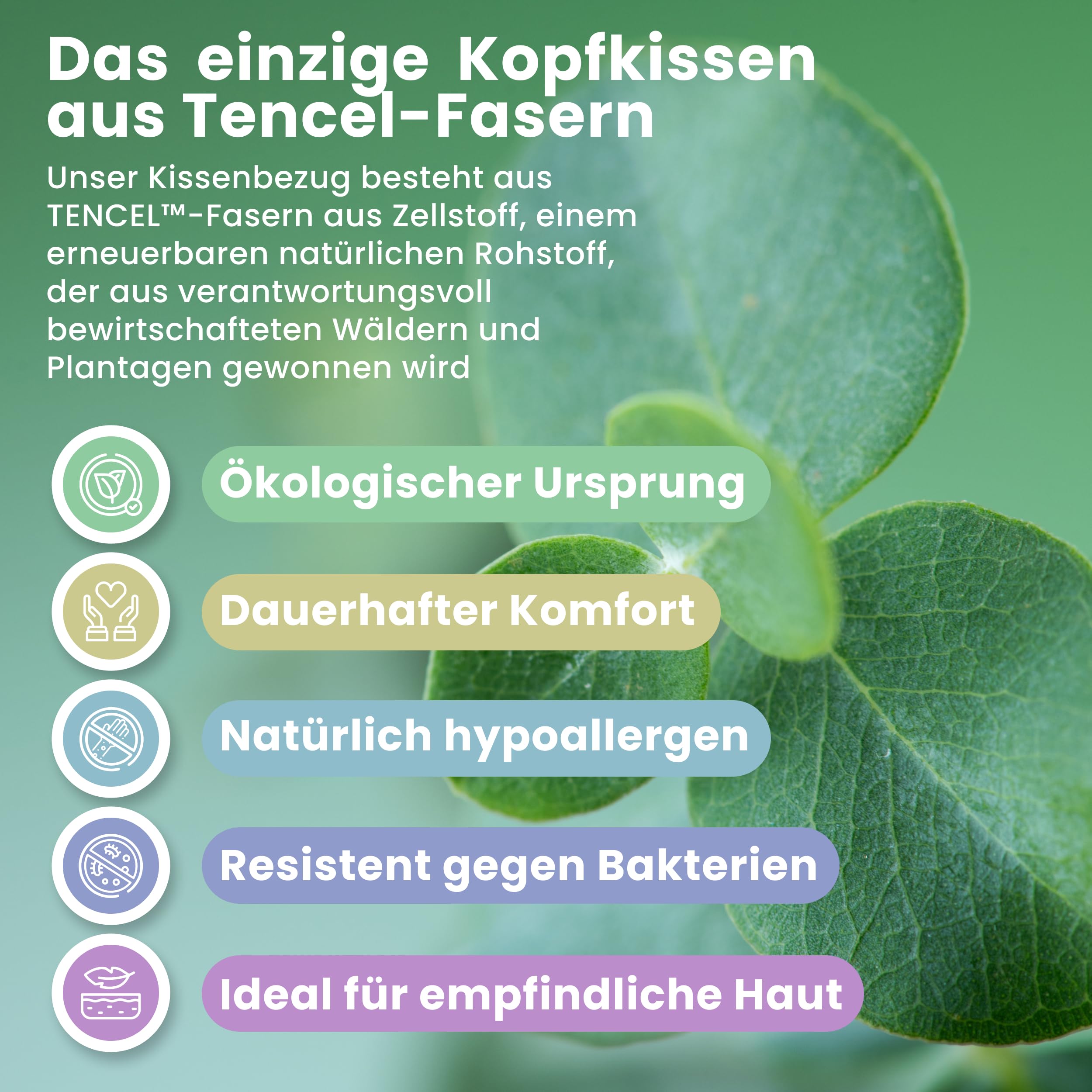 MIMUSELINA Viscoelastisch Kinderkissen 60x40x6 cm | Hypoallergenes Memory Foam für Babys | Kleine Kissen für Kinder, Ergonomisch & Atmungsaktiv | Abnehmbarer, Waschbarer Bezug aus Tencel
