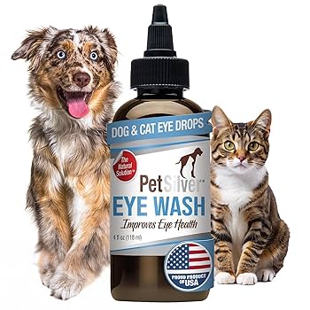 Natural Treatment for Cat Eye Infection: Safe & Effective Remedies