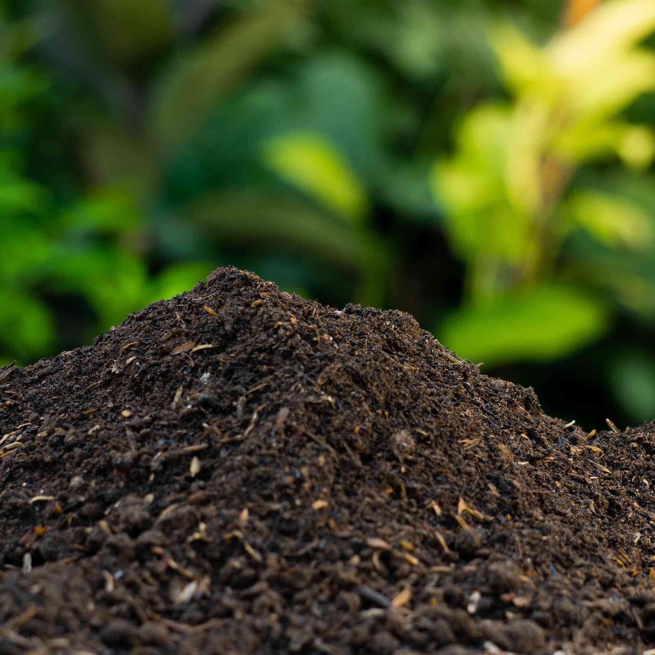 75L Multi Purpose Compost – Premium Potting Soil for Plants, Vegetables, Flowers, Herbs, Shrubs, Seeds, Garden Beds, Raised Planters, Indoor Houseplants, Greenhouse & Outdoor Use