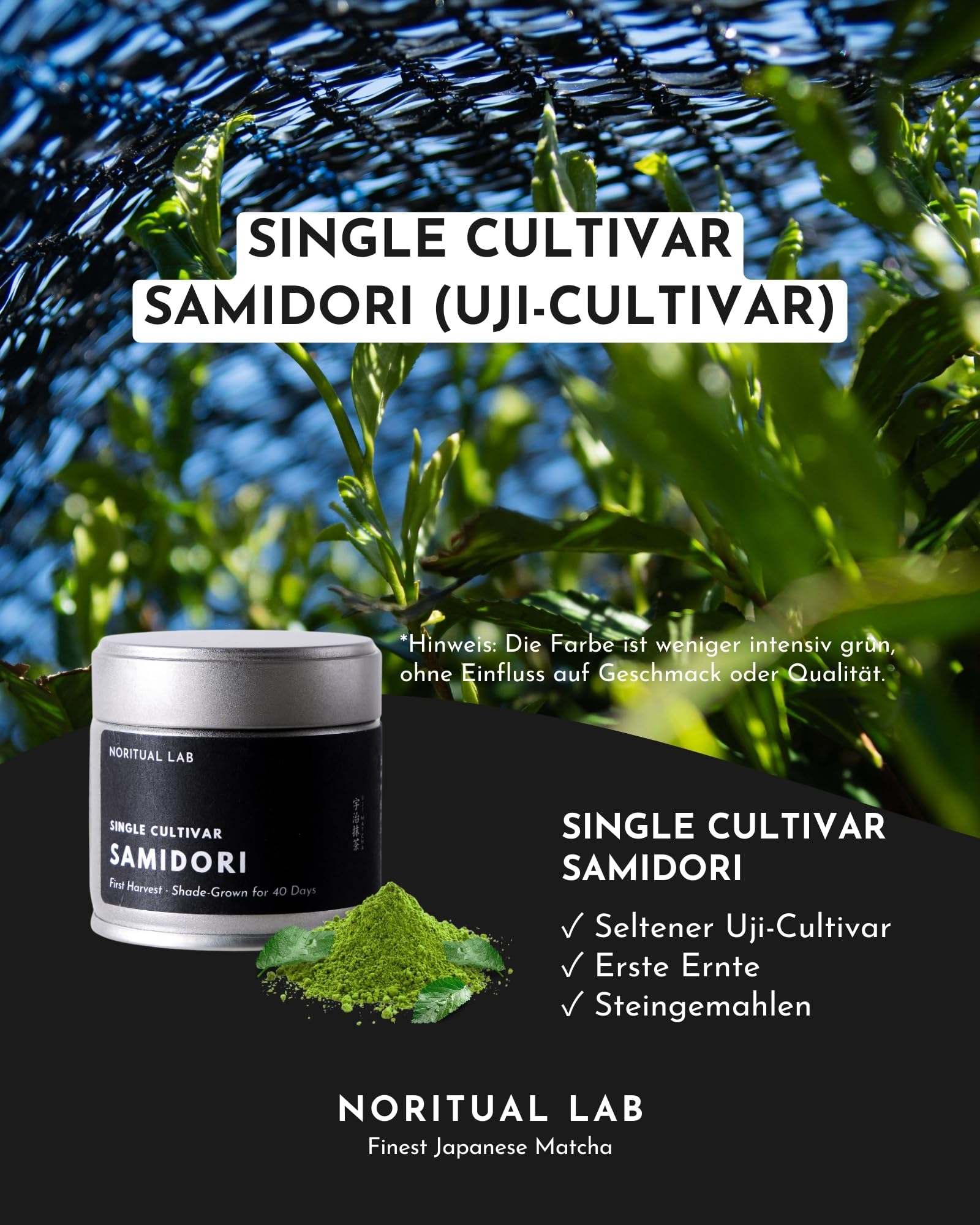 Single Cultivar Matcha - Ceremonial Grade - Samidori Grüntee-Pulver aus Japan - Original Japanischer Tee der Ersten Ernte - 100% Natürlich und Laborgeprüft - 30g