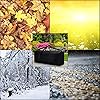 Product Photo 7