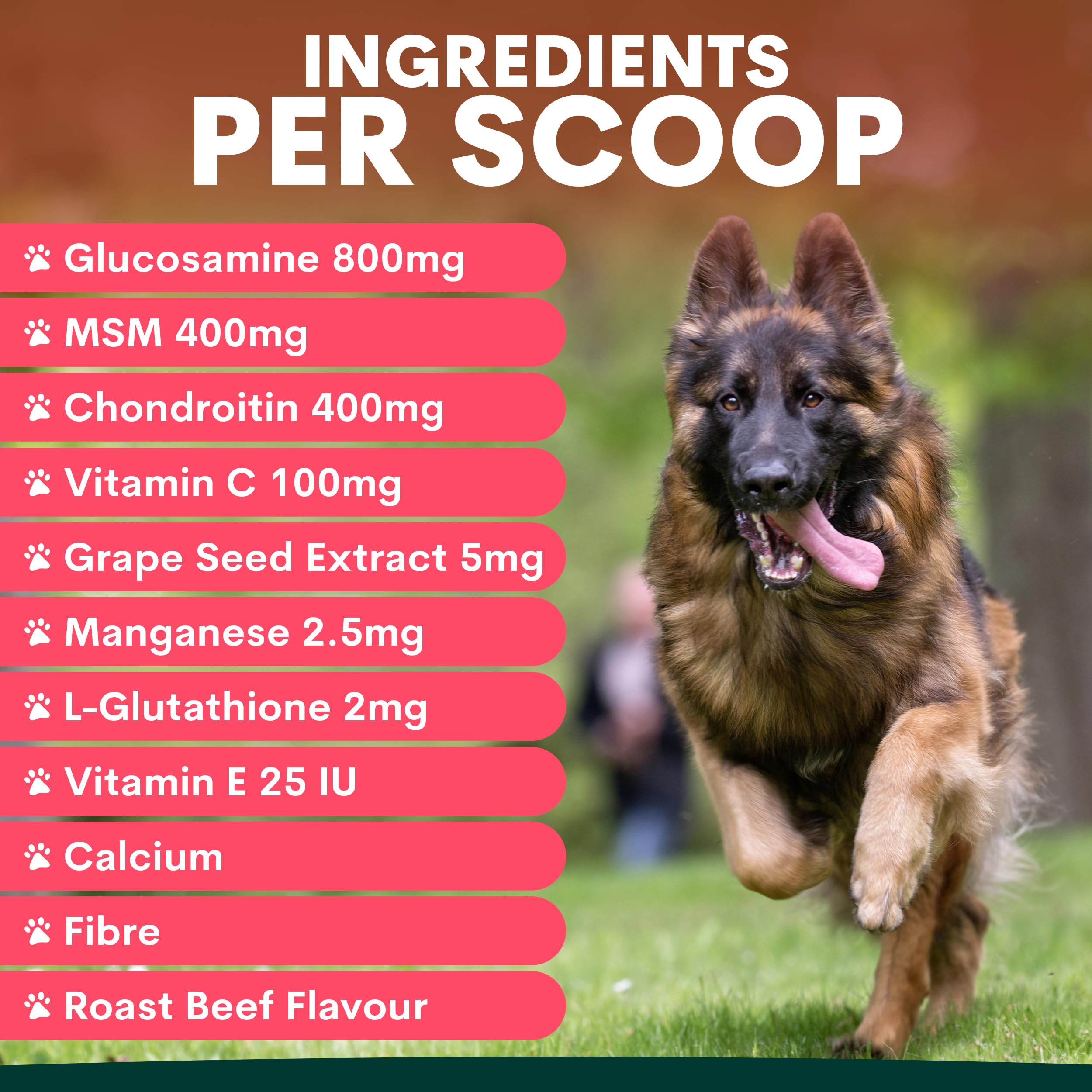 Petz Park Dog Hip and Joint Supplement for Mobility