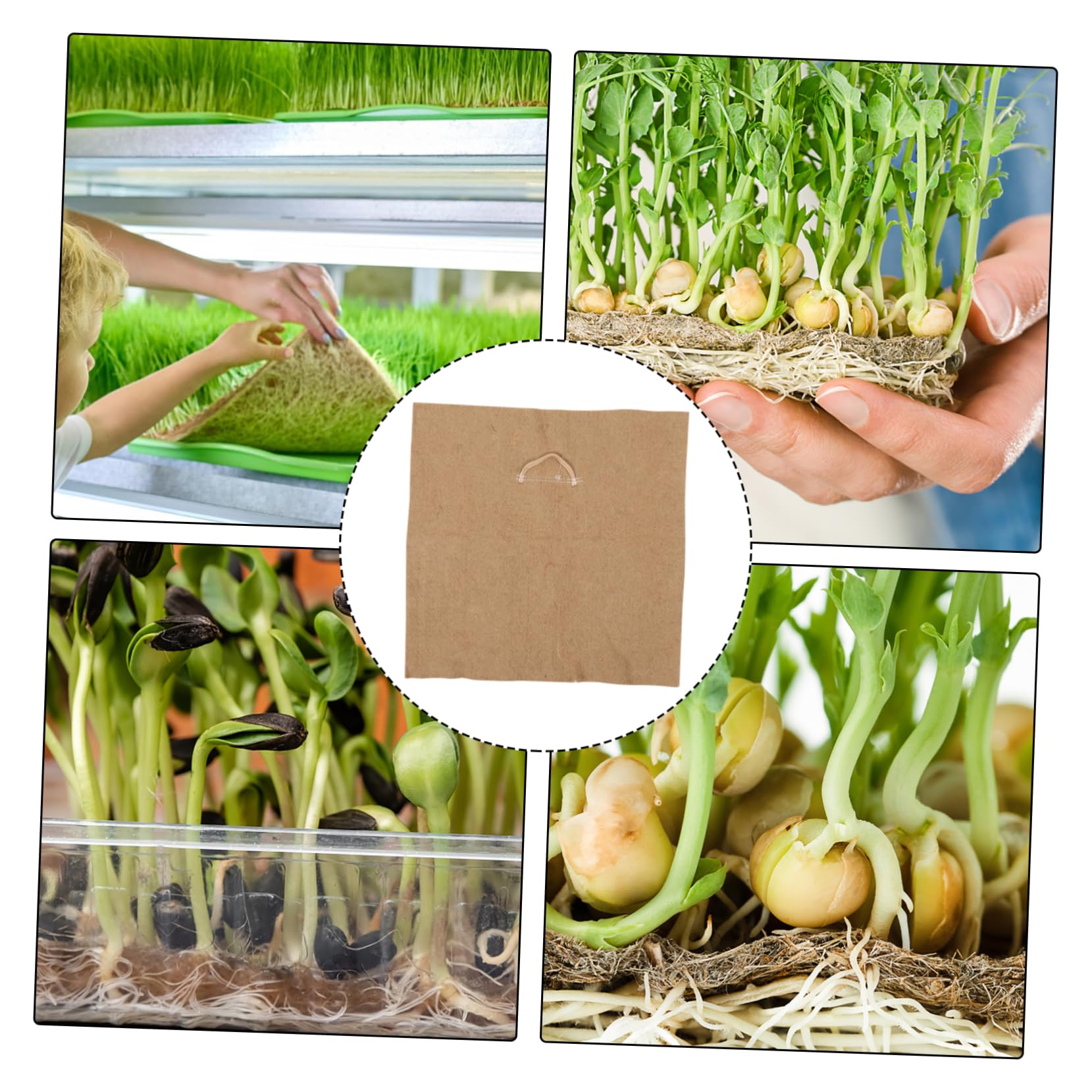 VANZACK Lot De 4 Plateaux De Culture pour Semis Plateaux De Culture pour Micro-Pousses Plateau D'Arrosage Carré pour Germination Fournitures De Semis Papier pour Plateau De Semis