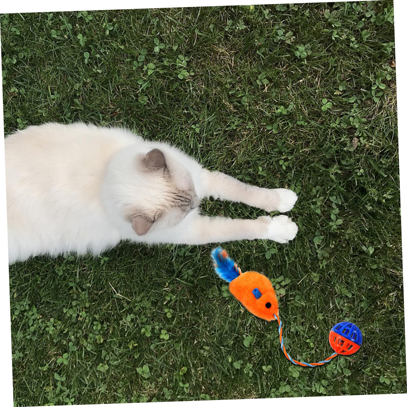 Interactif pour Chats avec Souris Peluche et Clochette Plastique à Griffer pour Chat Accessoire Exercice pour Animaux Domestiques Orange