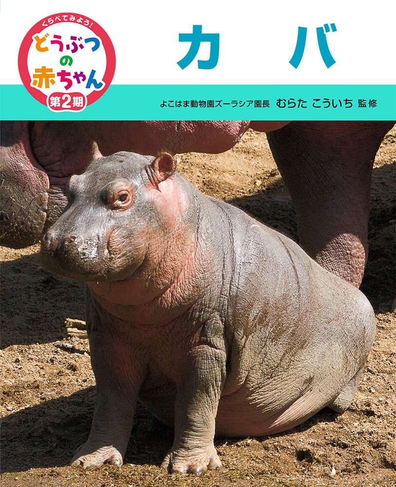 激安!』【新作F6】 ミニカバの赤ちゃん油絵 金泰鮮画 動物 激安