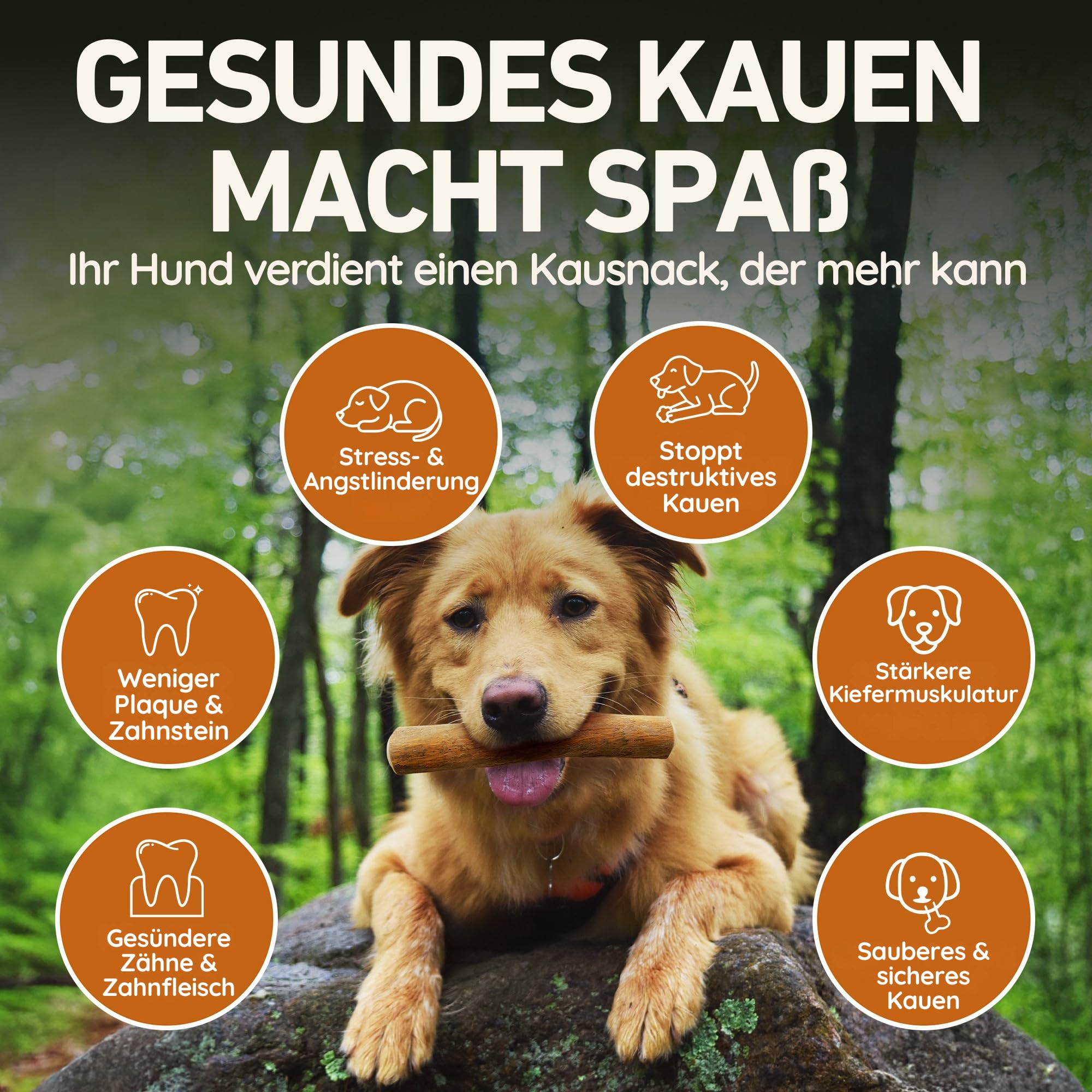 Wildfang® Kaffeeholz für Hunde mit Lachsöl – Kauspielzeug aus Kaffeeholz für Aggressive Kauer und Welpen im Zahnwechsel. Zahnpflege-Spielzeug für Hunde, Größe L (über 25 kg), 3er-Pack