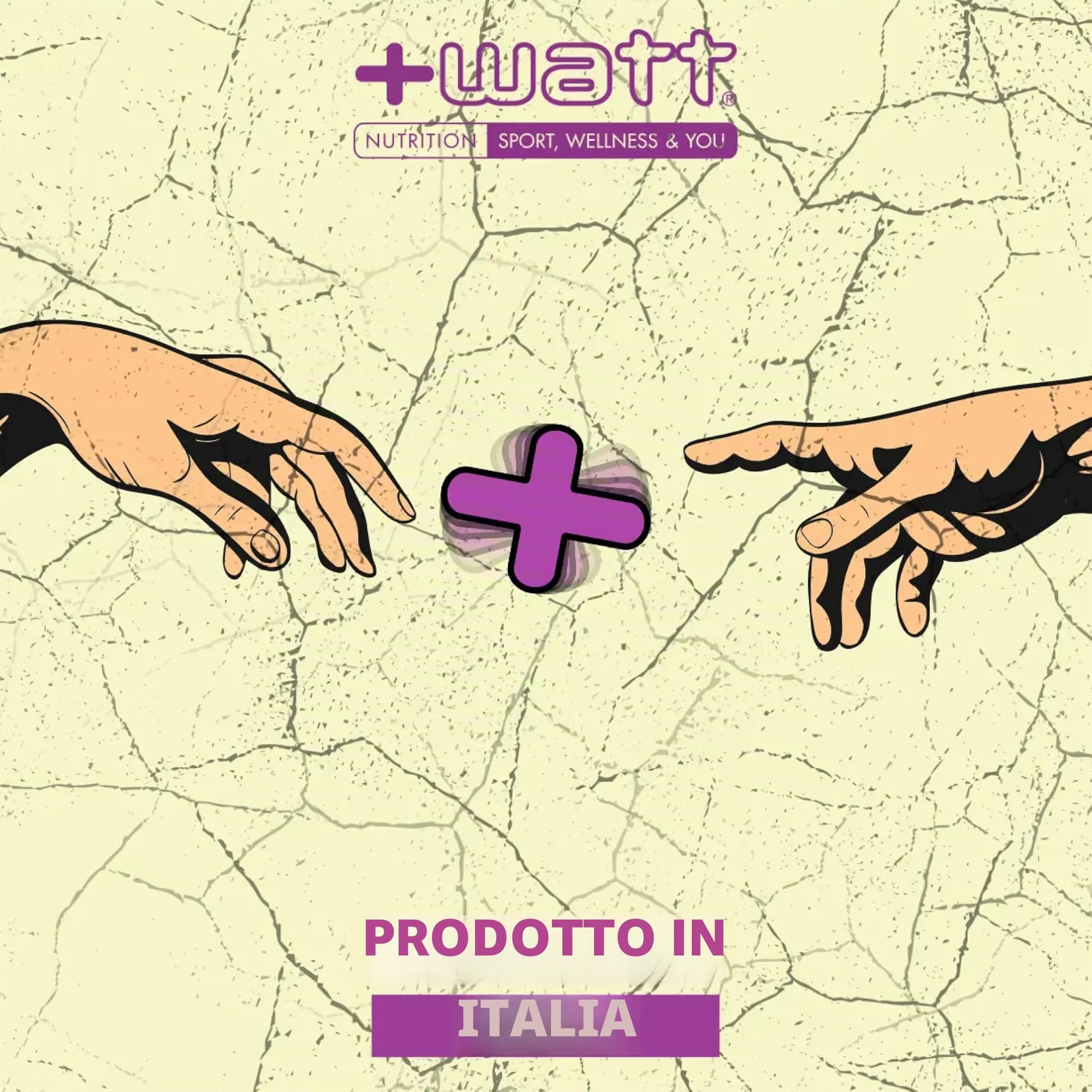 Natural Mix - barretta energetica ad alto contenuto di acidi essenziali a base di frutta secca - Ideale prima e durante gli sforzi prolungati - 24 barrette datteri