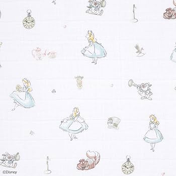 SVE アリス　3枚セット SVE アリス 3枚セット Alice/アリス】 シアーレース/ Vネック