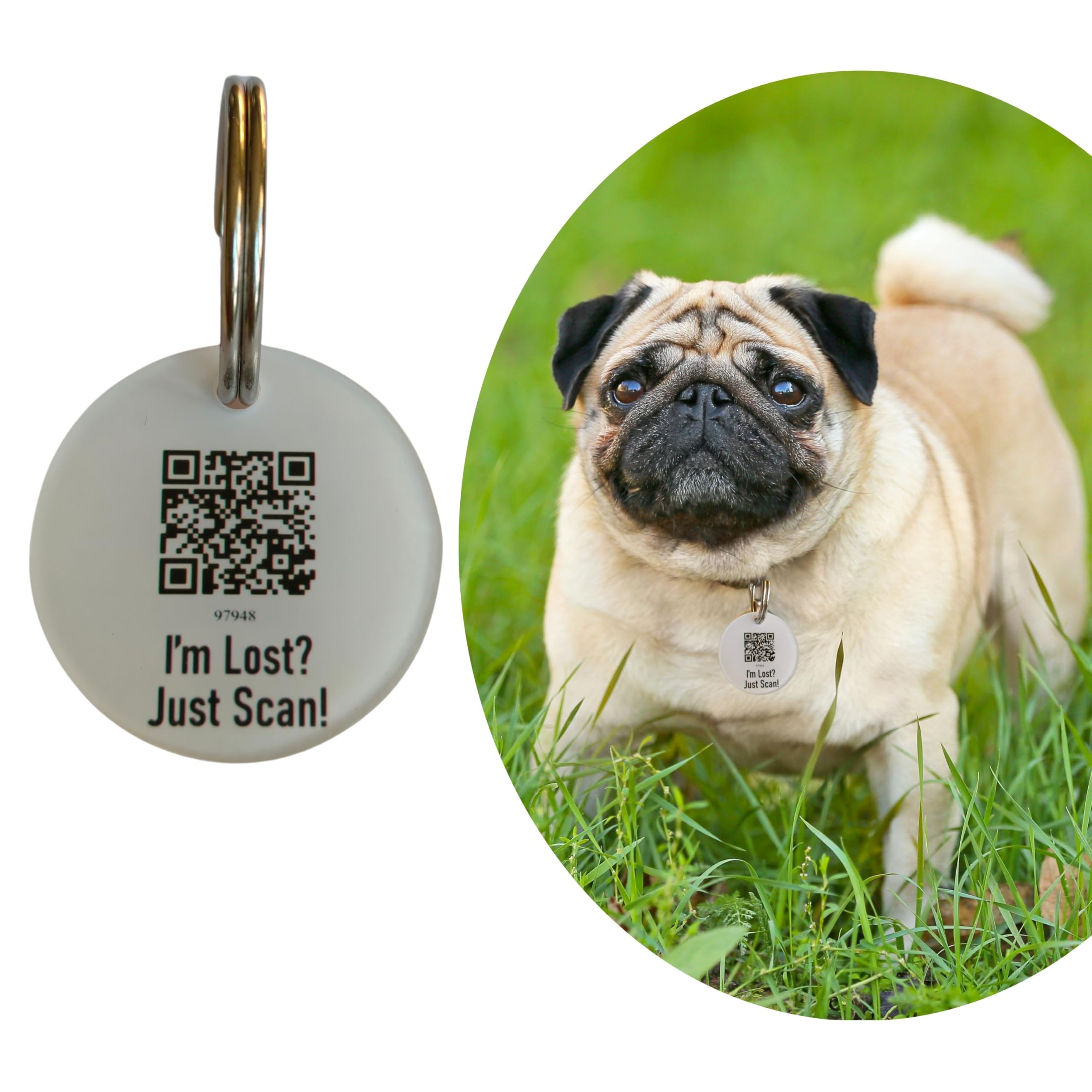 Pawsitivity Dog Tag ID with Smart Unique QR Code Feature