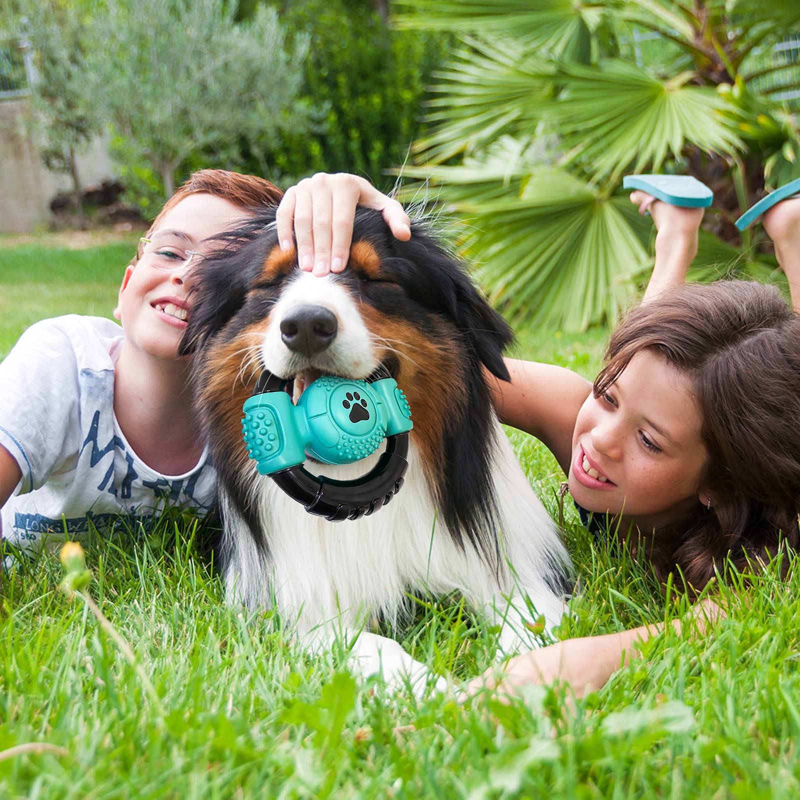 Juguetes para Perros para masticadores agresivos, Juguete Indestructible para Perros medianos y Grandes, Juguetes Resistentes con Sabor a Leche para mantenerlos ocupados