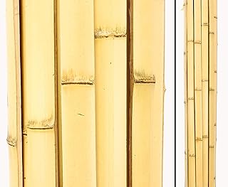 Moso - Tubo de bambú (200 cm, color amarillo, blanqueado, con 4 a 4,2 cm de ancho, con tiras de bambú, 2 m de largo)