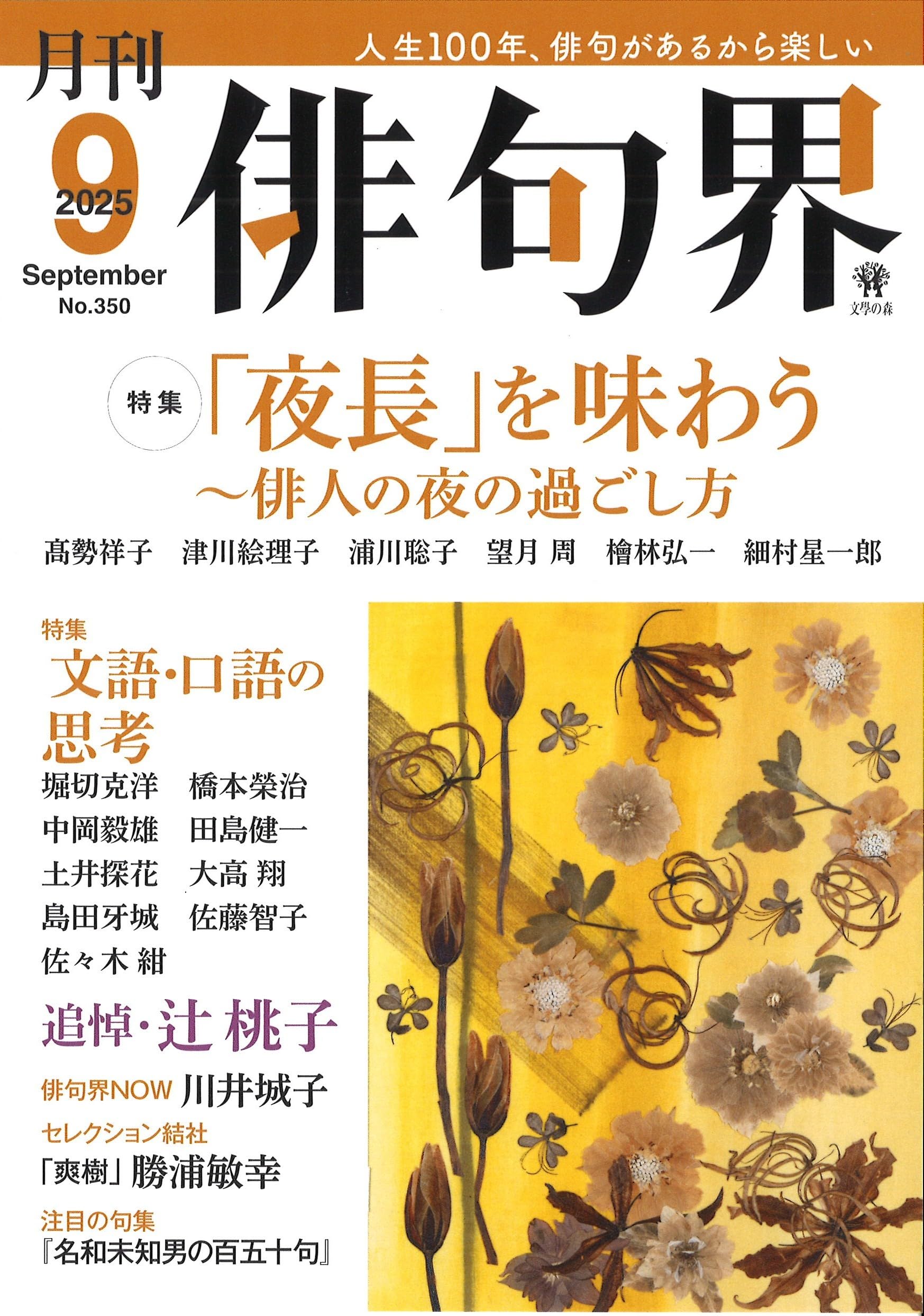 間の文芸俳句表現の不思議 : 取り合わせ例句集 日高俊平太 本 日本文学