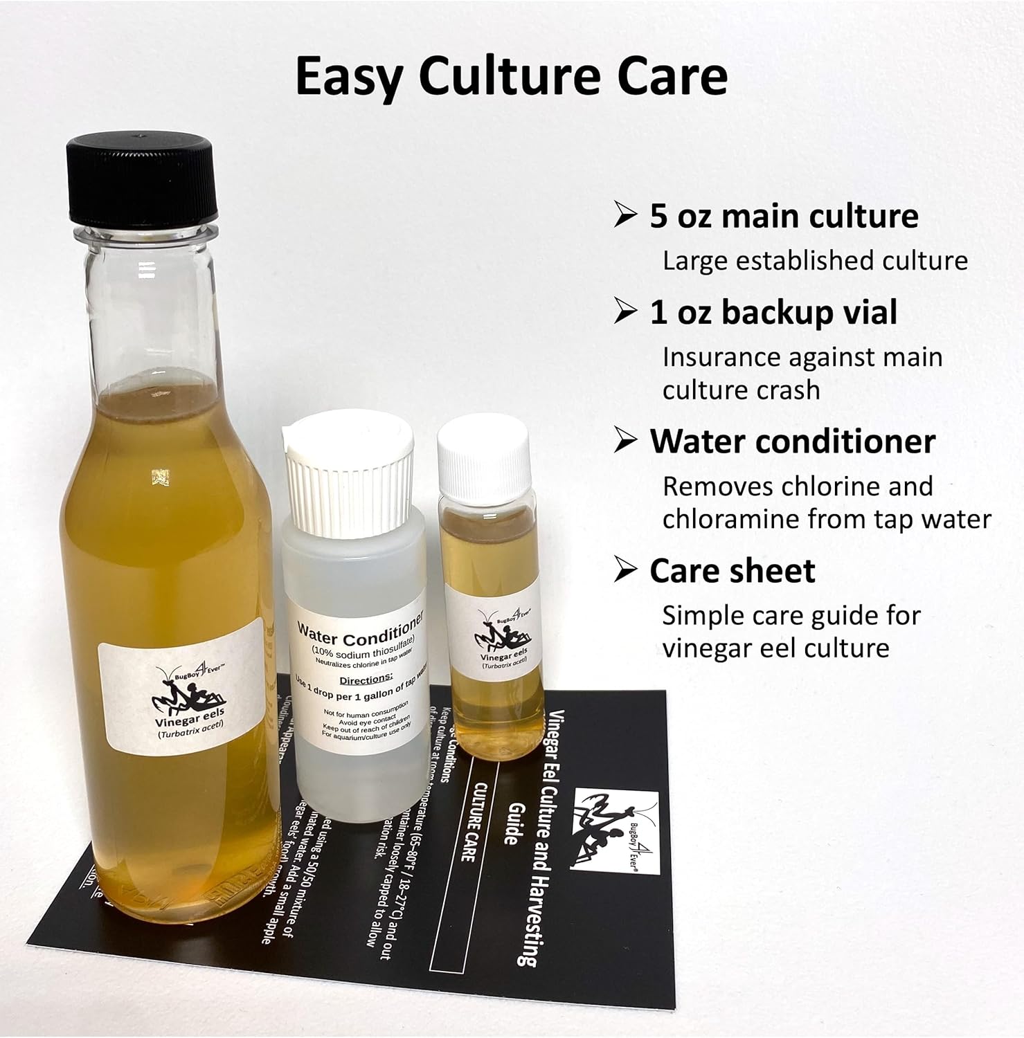 Complete Vinegar Eel (Turbatrix aceti) Culture and Harvesting Kit: One 5 oz Working Container, One 1 oz Backup Container, Harvesting Tools, and Tap Water Conditioner - Live food for fish fry