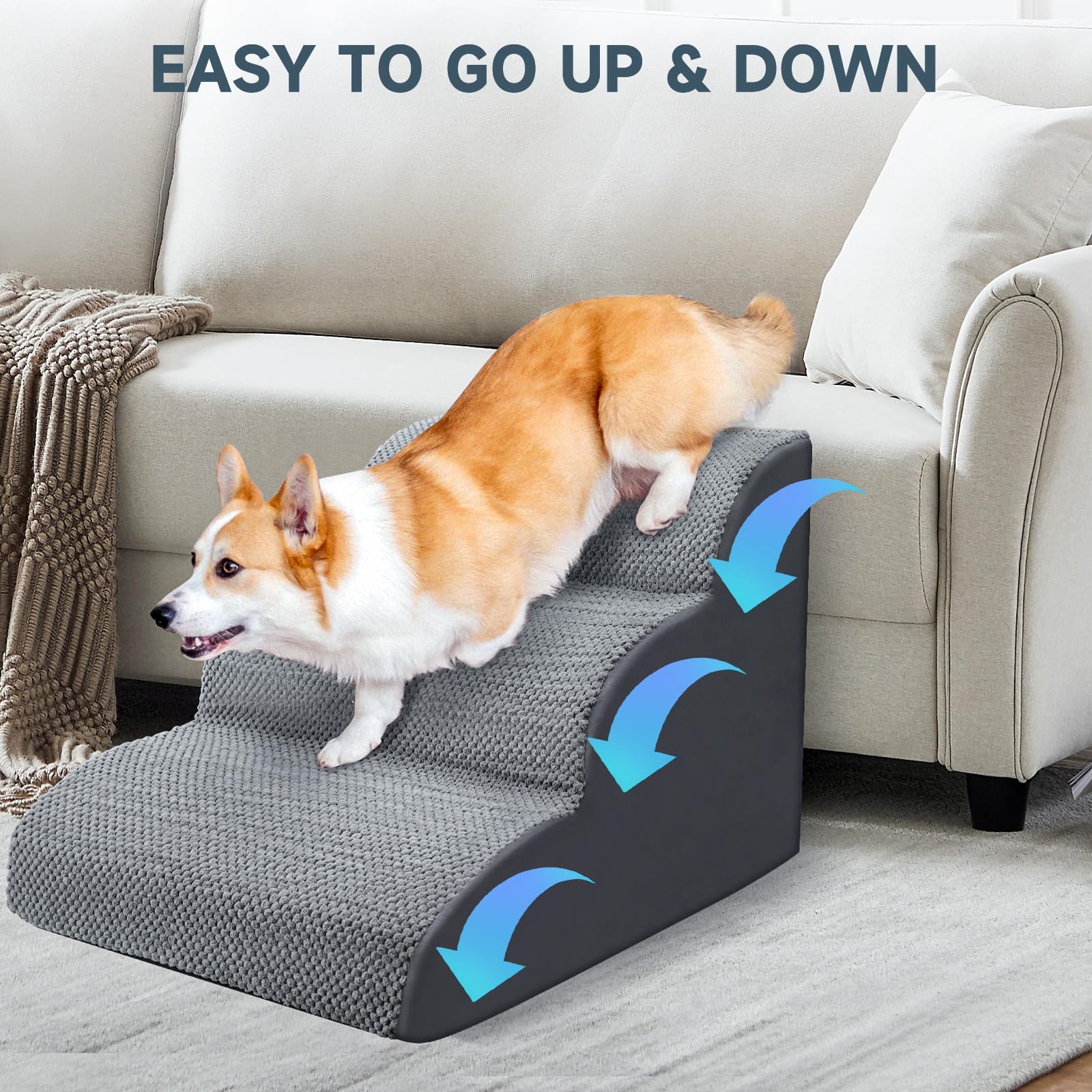https://m.media-amazon.com/images/I/81ilfN8BlGL.jpg