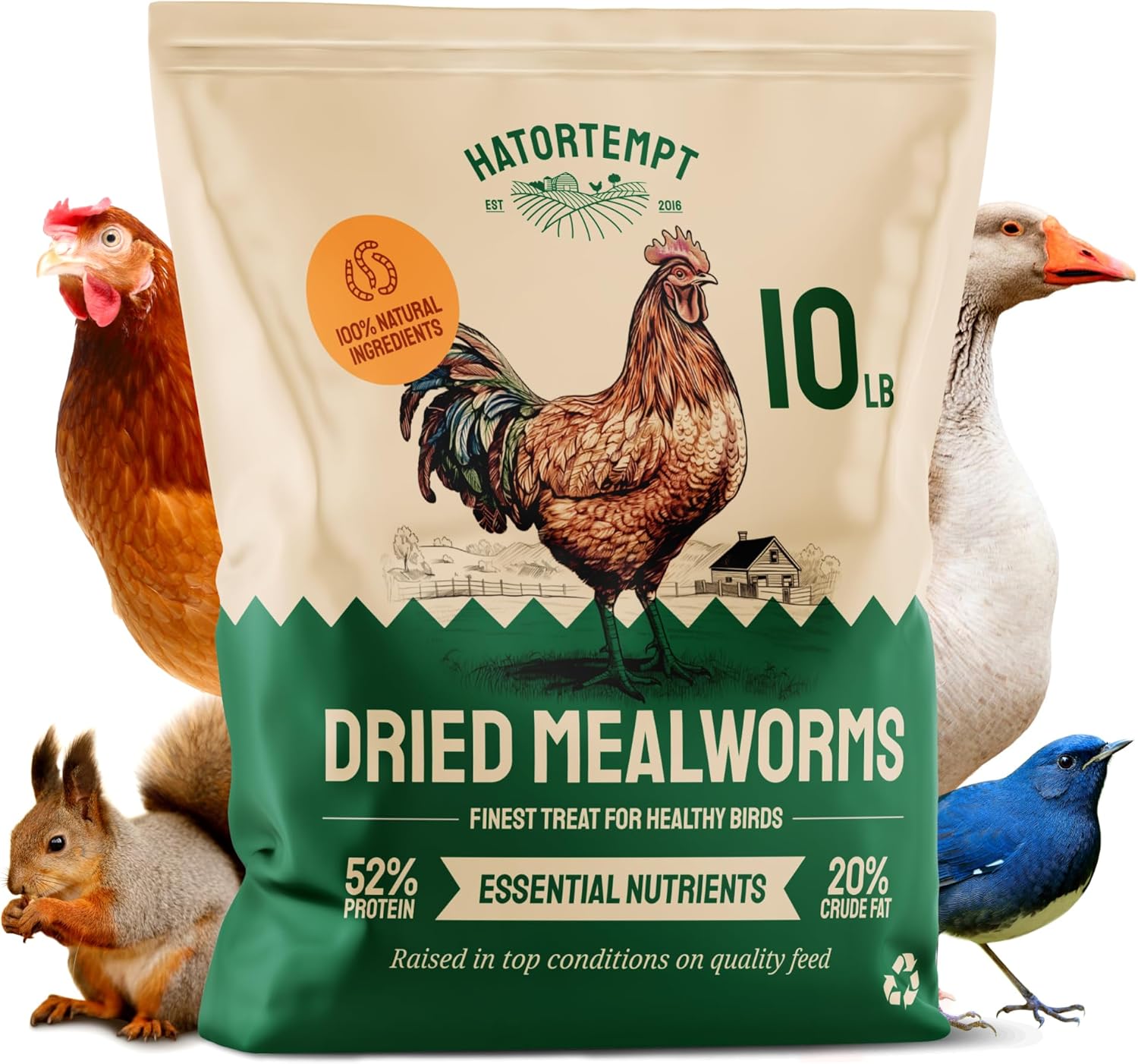 Bulk Dried Mealworms 10 lbs Organic Mealworms