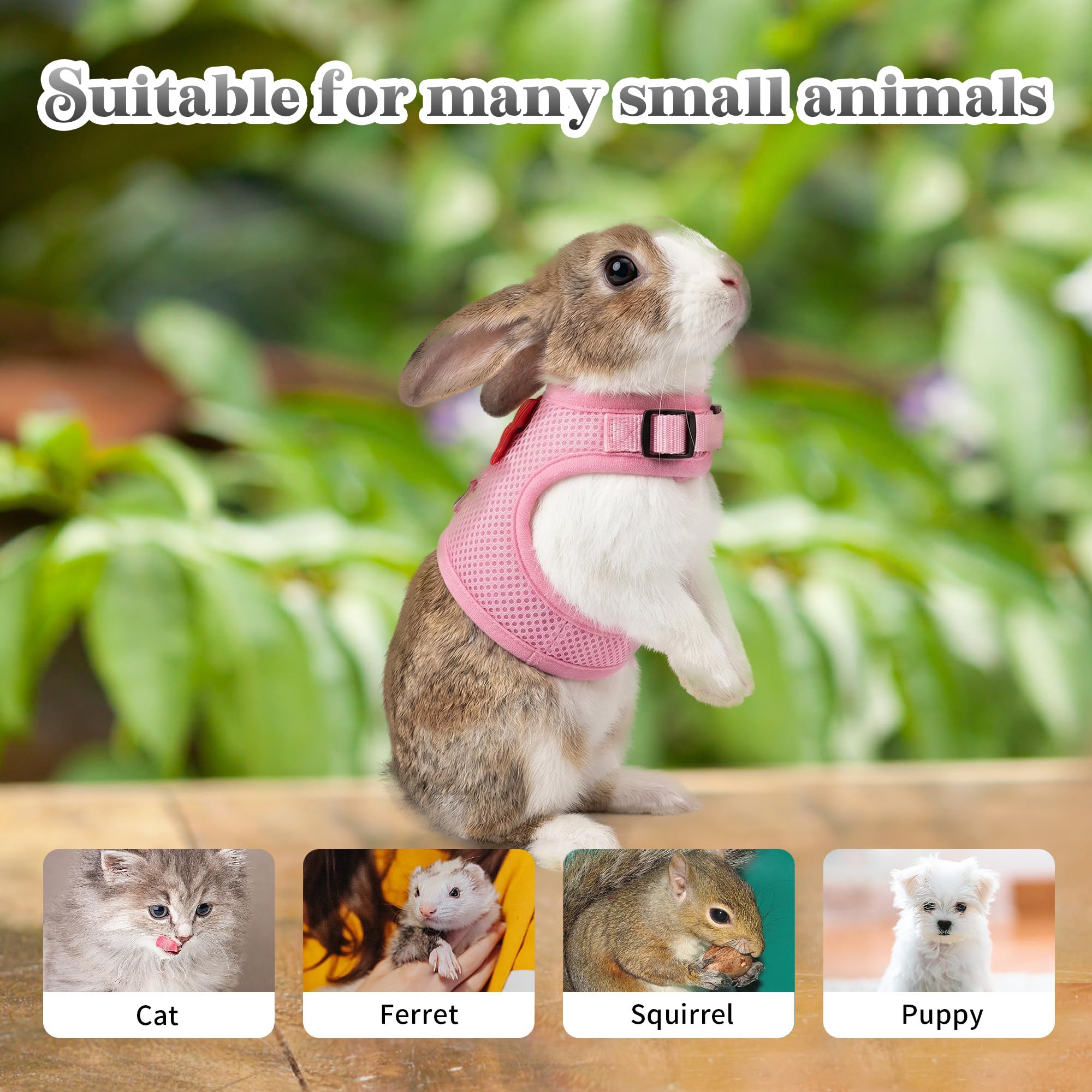 Harnais et laisse pour petits animaux, rose, taille L, en maille douce et respirante