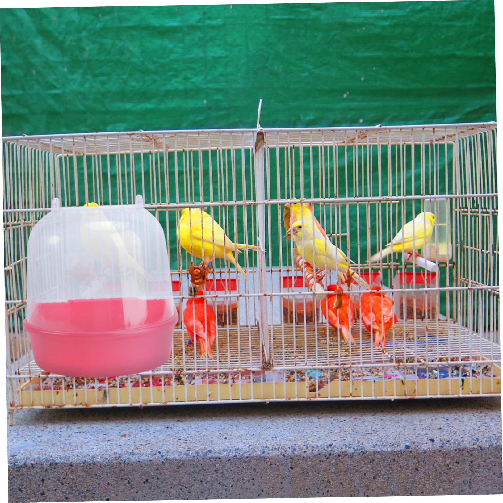 FRCOLOR 3pezzi Bagnetto per Uccelli Coperto Rossa Vaschetta per Pappagalli e Canarini Accessorio per Gabbie di Piccole Facile da Installare e Utilizzare
