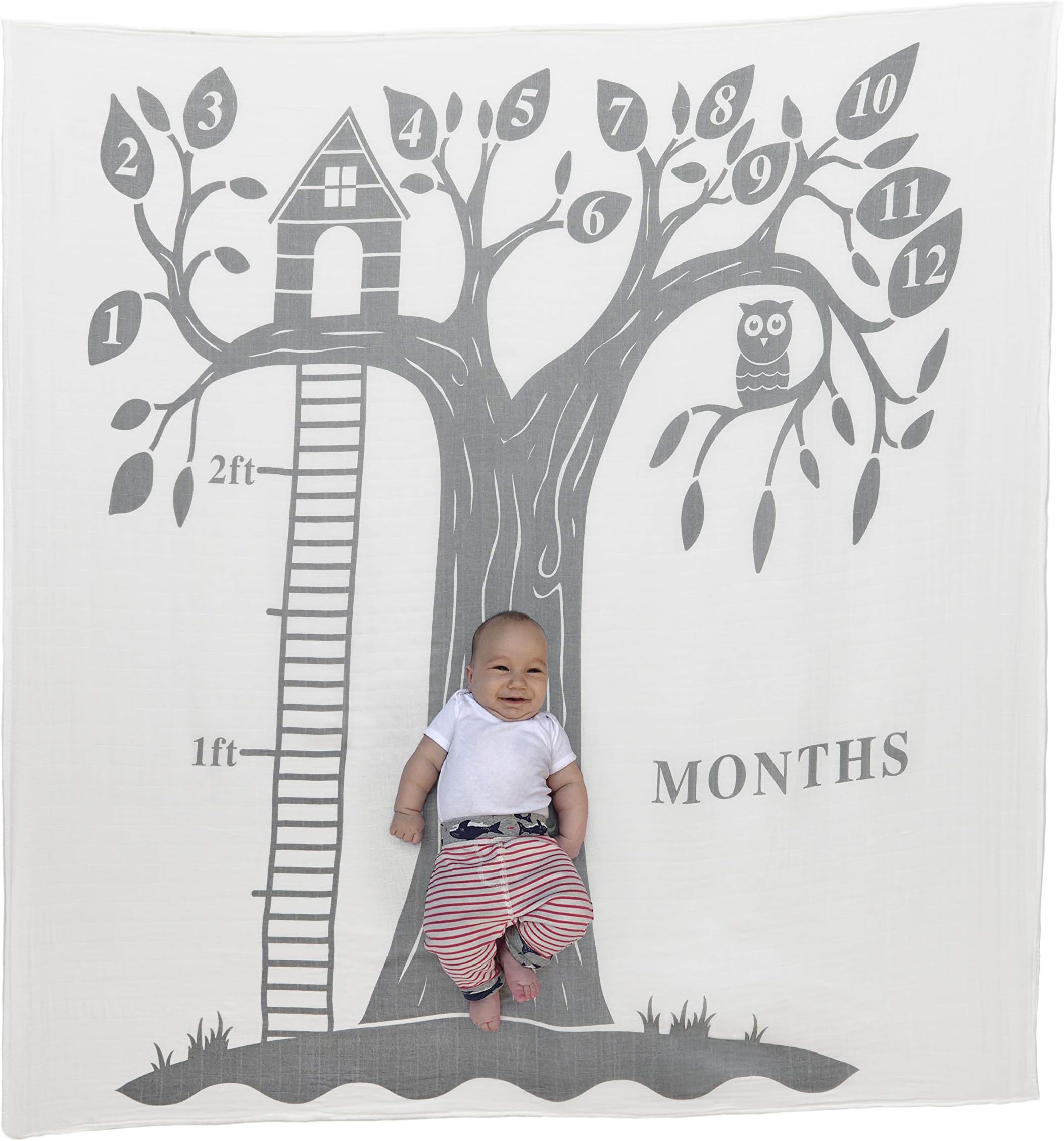 Dejaroo Baby's First Year Milestone Blanket and Felt Circle Set