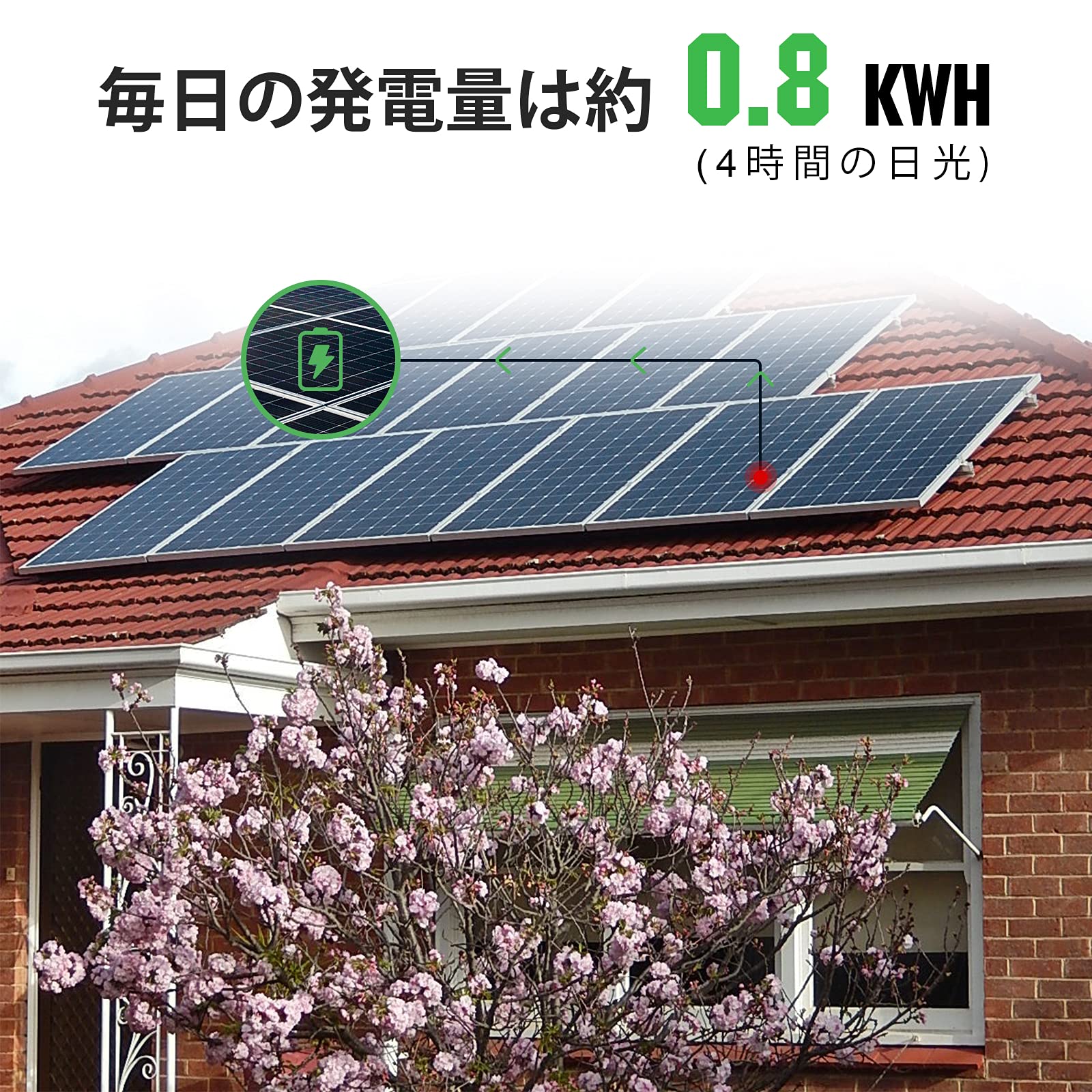 Amazon.co.jp: ECO-WORTHY 200wソーラーパネルキット ソーラーシステム