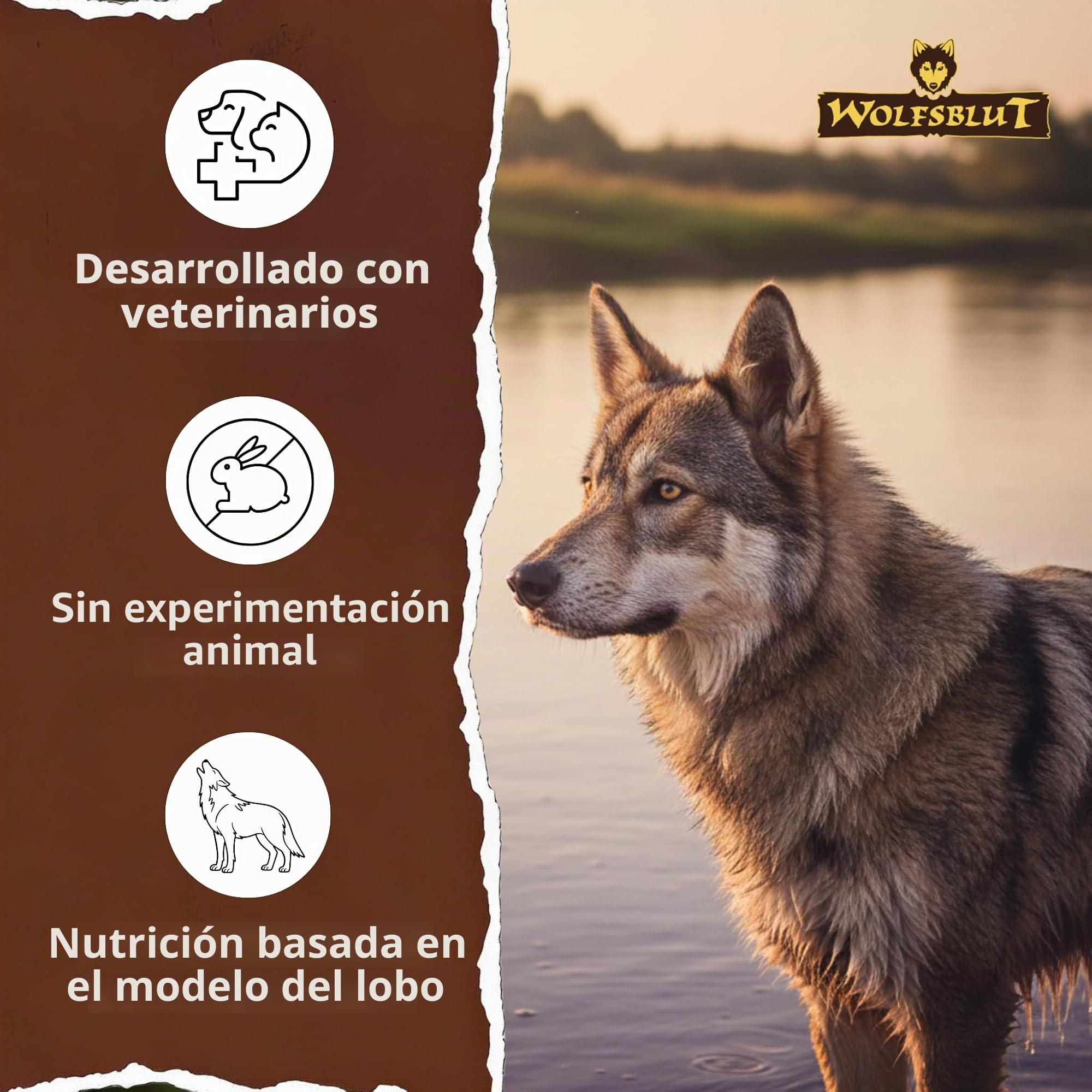 Wolfsblut Wide Plain Active 12,5 Kg
