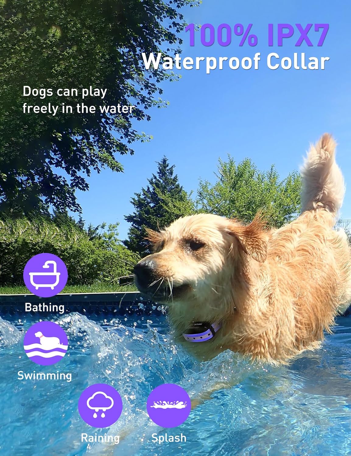 Dog Shock Collar 2 Dogs (10-120lbs) - 3300Ft IPX7 Waterproof Training Collar with Beep, Vibration, Safe Shock for Large Medium Small Dogs, Rechargeable Ecollars, Security Lock & Flashing Light