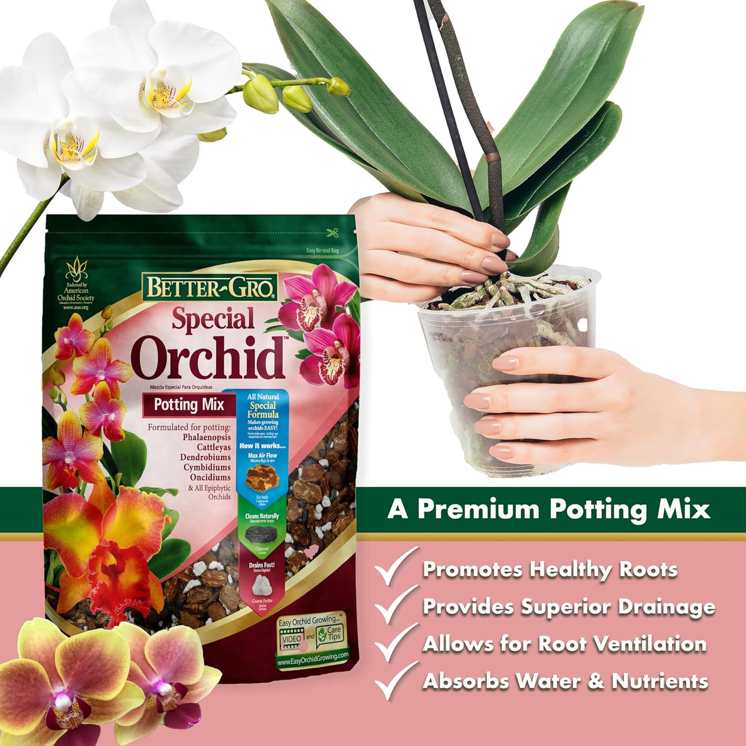 Better-Gro Orchid Plus 20-14-13 - Urea-Free Orchid Fertilizer for Vigorous Growth, Water Soluble & Special Orchid Mix - Premium Grade Orchid Bark Potting Mix for Potting, Repotting