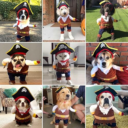 Miniatura 4 de Disfraz de piratas del Caribe para perro, novedoso disfraz de Halloween divertido para Halloween, ropa de pirata de gato, ropa fresca para perros