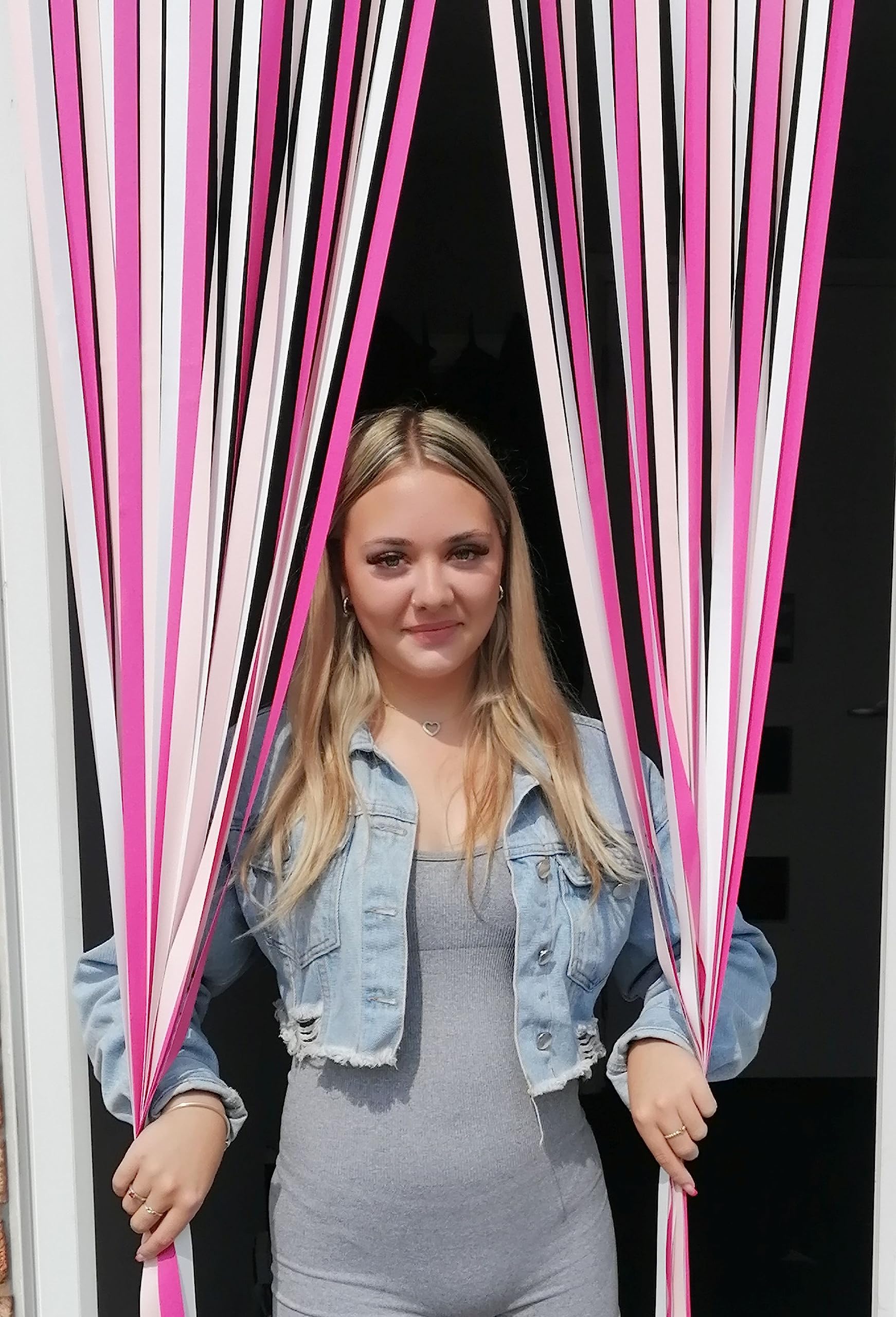 Holland Plastics Original Brand Heavy Duty Bug Fly Strip Door Blind - 100Cm Wide x 200cm Long - 'Ballet Dancer'