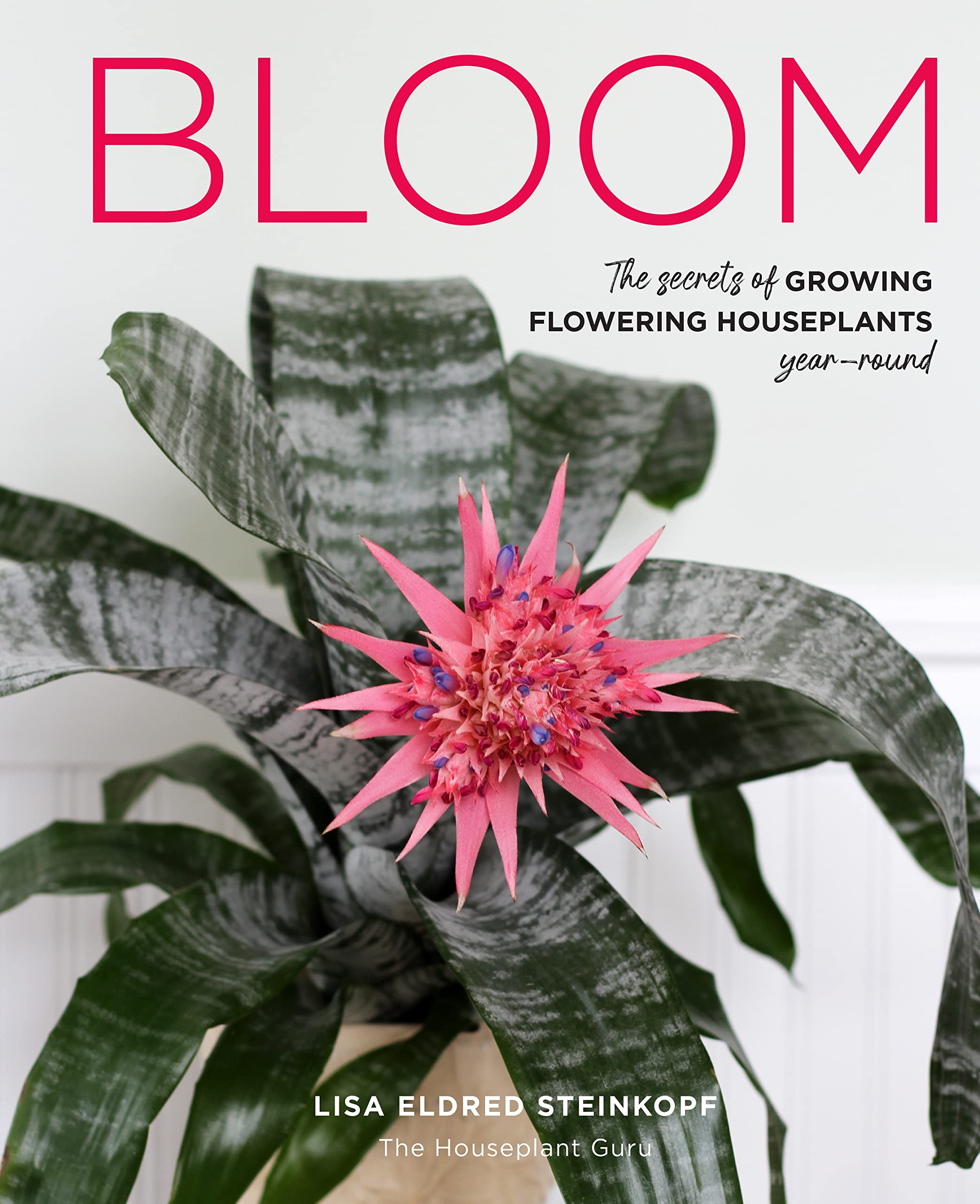 Bloom : The Secrets of Growing Flowering Houseplants Year-Round by Lisa ...