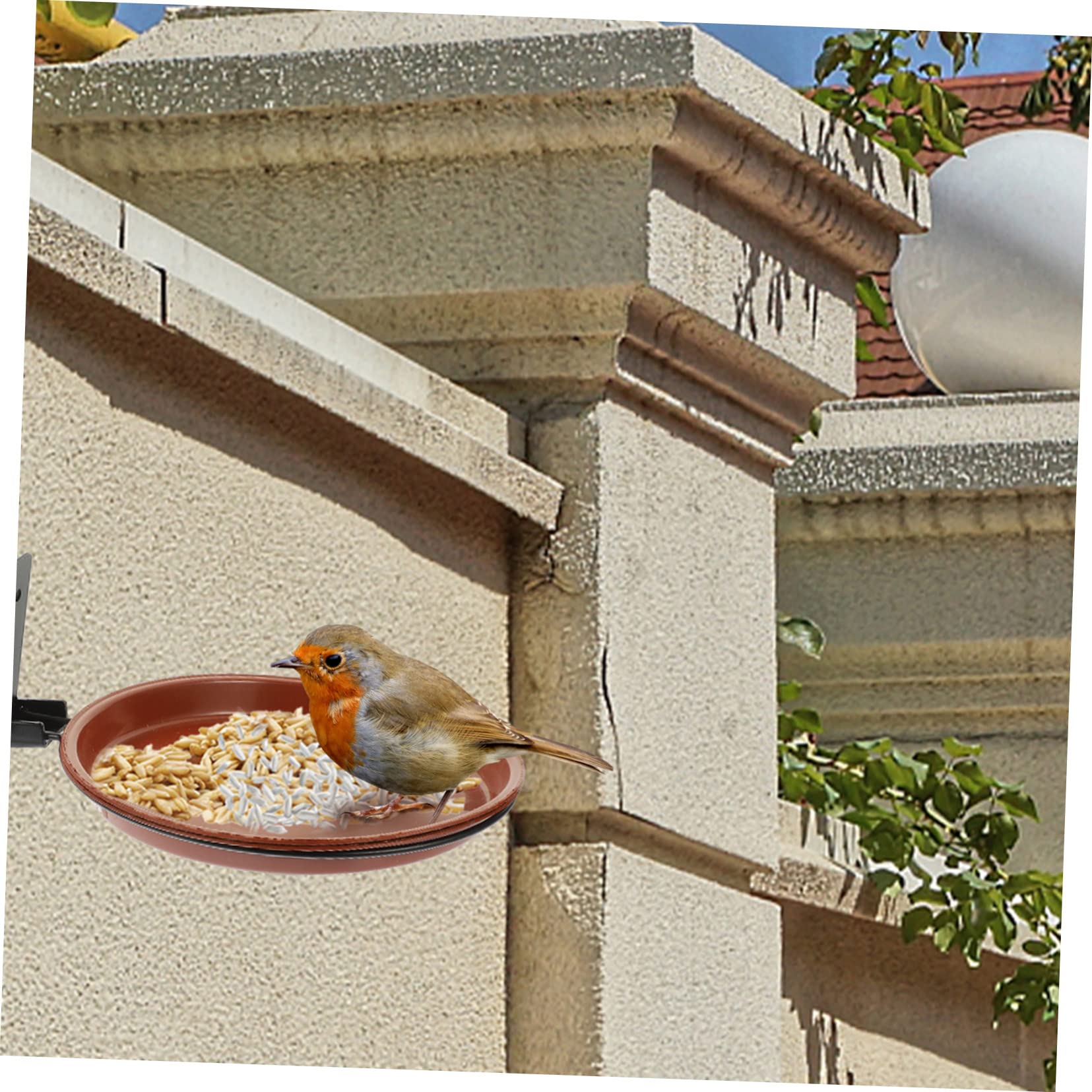 Yardwe 5 Set Mangiatoia Per Uccelli Da Parete Gabbia Mangiatoie Per Uccelli Da Esterno Pesce Persico Mangiatoia Per Uccelli Selvaggio Mangiatoia Solare Per Uccelli All'aperto Plastica