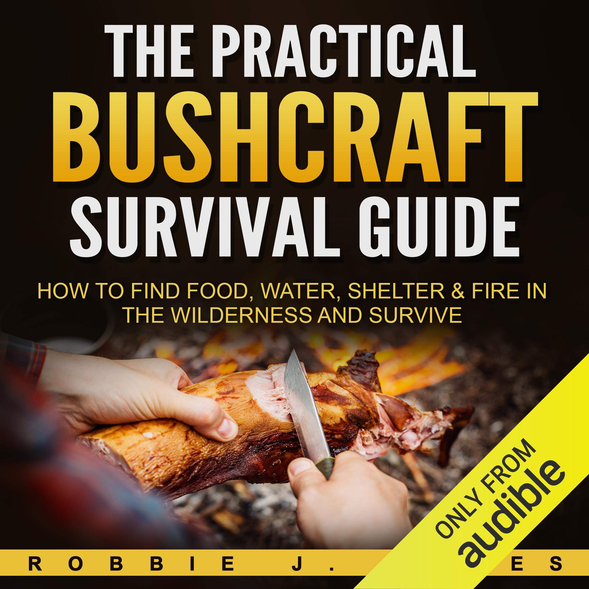 Cover art for The Practical Bushcraft Survival Guide