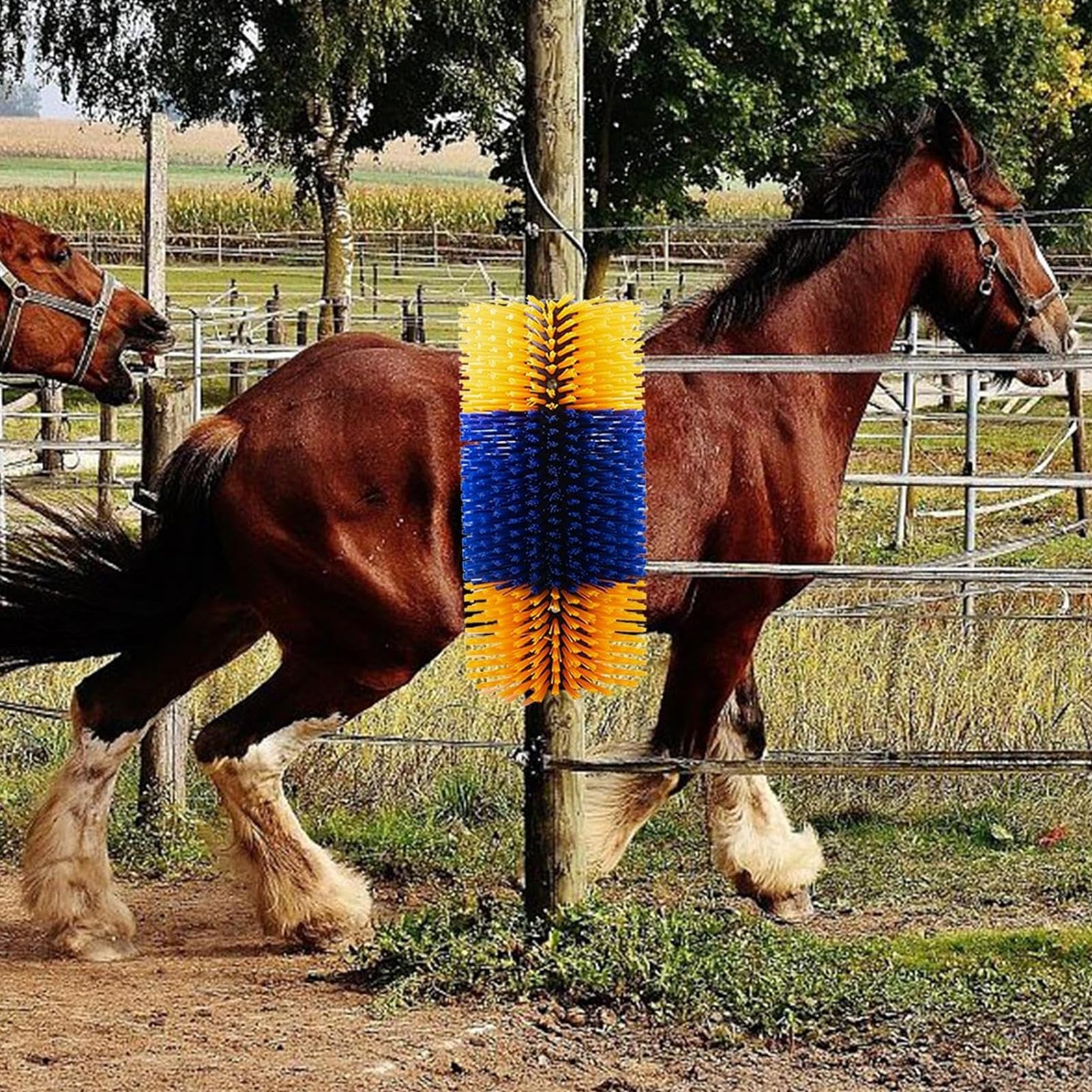 Cepillo para rascar caballos | Cepillo para el cuidado del cabello del | ganado, masajeador de aseo de animales domésticos, desprendimiento de animales de granja para vacas lecheras, mula