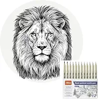 Conjunto de 12 Canetas Nanquim Profissionais, Pontas Diferentes 0.2-3.0mm, à Prova D'água, para Mangá, Desenho Técnico, Lettering e Caligrafia