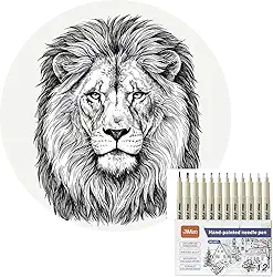 Conjunto de 12 Canetas Nanquim Profissionais, Pontas Diferentes 0.2-3.0mm, à Prova D'água, para Mangá, Desenho Técnico, Lettering e Caligrafia