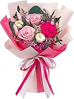 Polylove Hot Pink Preserved Roses Bouquet - Forever Flowers Gift for Wife, Mom, Birthday, Mother's Day - Lasts Over a Year, Small