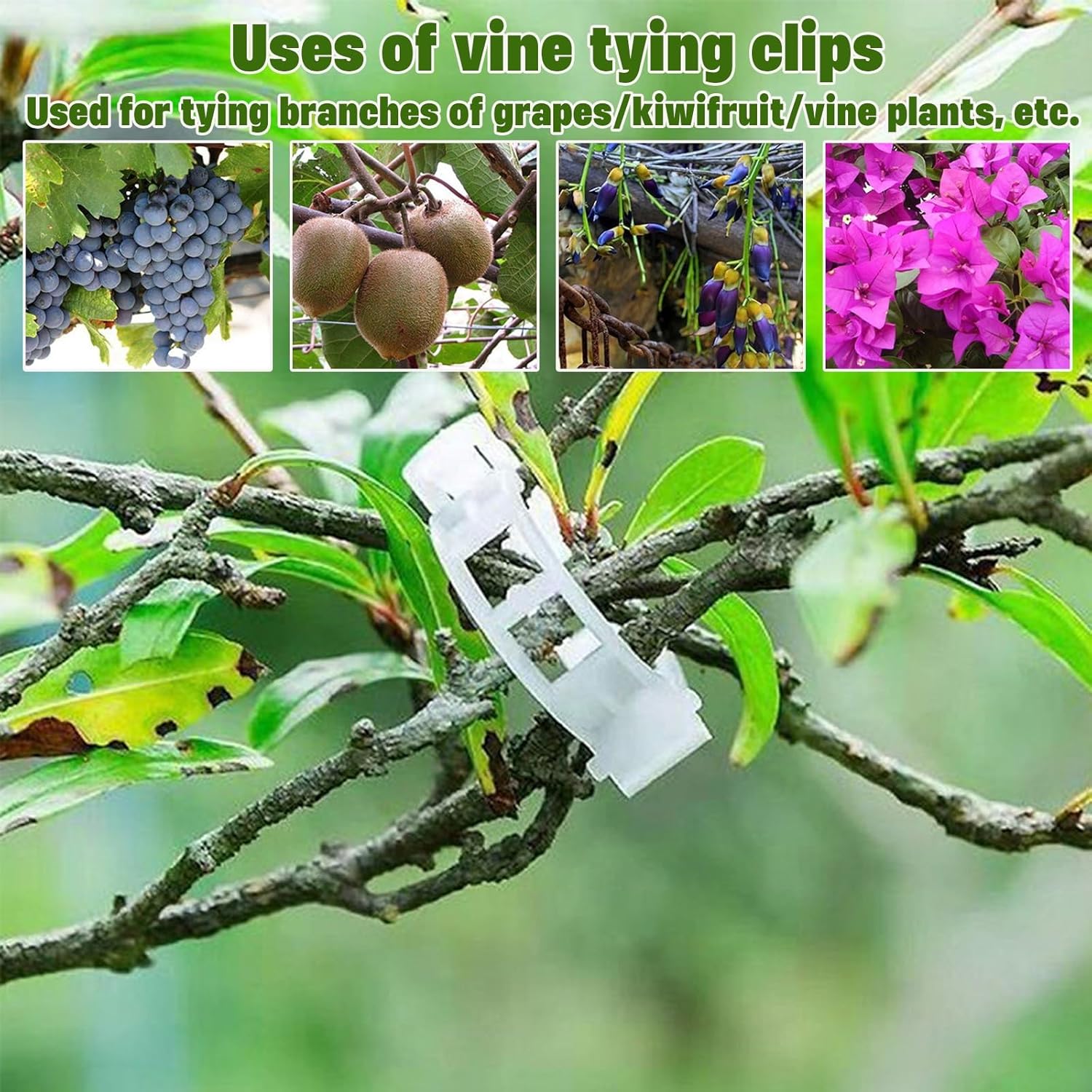 Plant Wine Wall Clips Plant Fixing Clip Tomato Grape Vine Vegetables Plant Fixing Clips Upgrade Plant Support Clips Reusable Garden Clips Secured Plastic Plant Clip(White,200PCS)