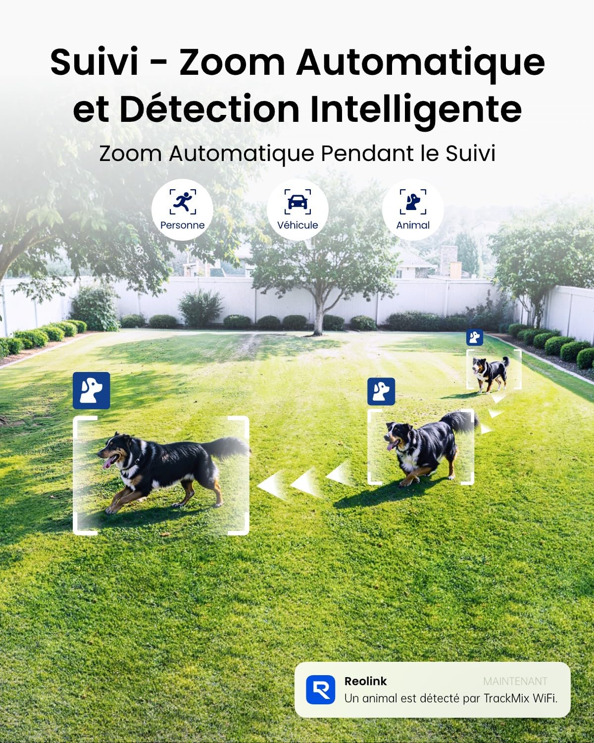 Reolink 4K PTZ Caméra de Surveillance WiFi Exterieure à Double Objectif, Wi-FI 6 Bi-Bande 2,4/5 GHz, Zoom 6X, Détection Intelligente, Suivi Automatique, Vision Nocturne Couleur, TrackMix WiFi Grise