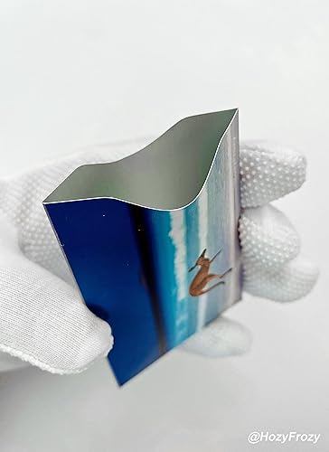 Miniatura 2 de 8 fundas de bloqueo RFID, soporte y protector antirrobo, fácil de reconocer, diferentes diseños, tortuga marina, martín pescador, elefante, mono,