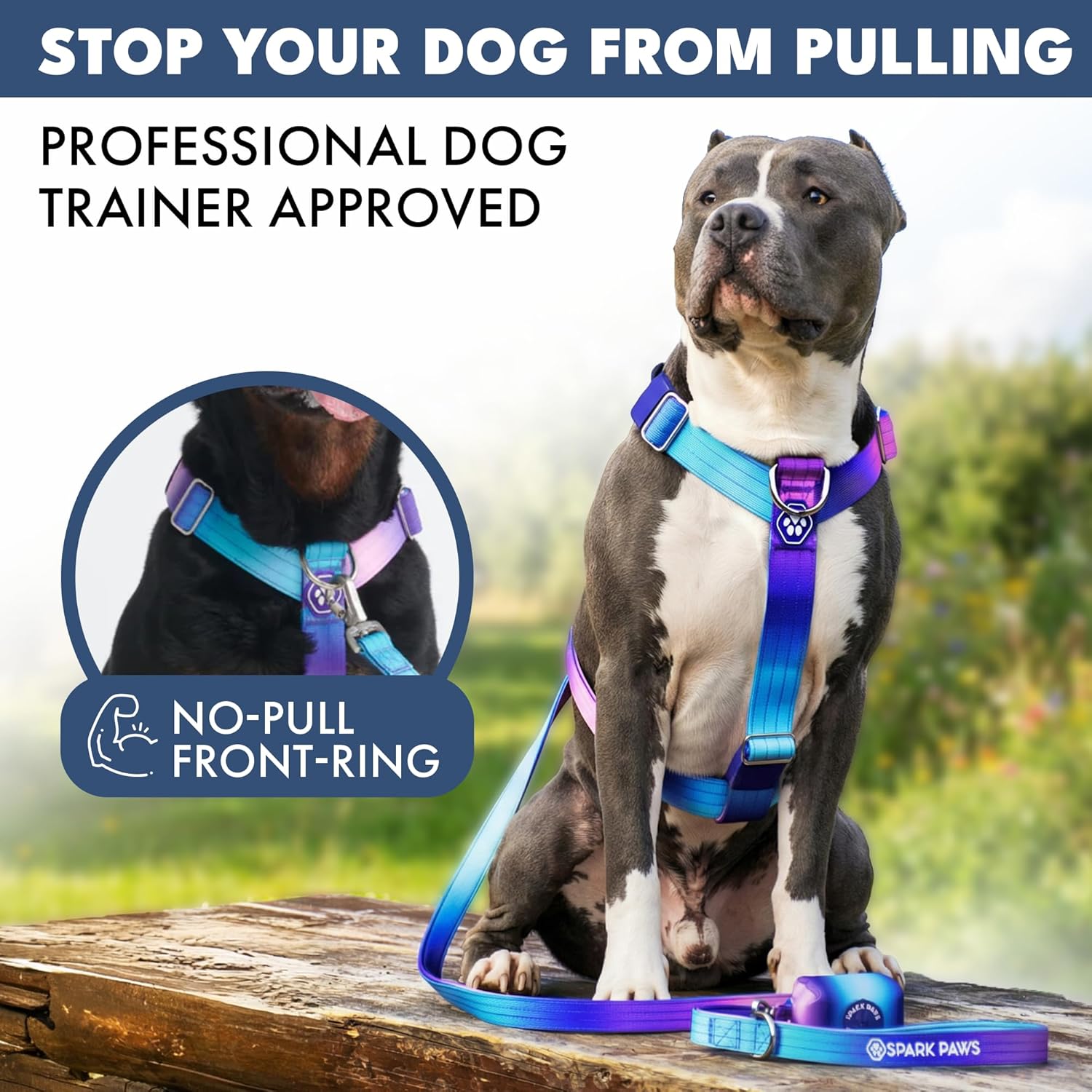 Spark Paws No Pull Dog Harness with Handle for Large Dogs, Heavy Duty Dog Harness for Big Strong Breeds, Adjustable, Y Shaped Padded Halter Design with Front Clip - 90s Retro - S