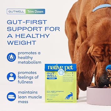 Native Pet GutWell Trim Down - Weight Management Dog Food Topper & Weight Loss Supplement Promotes Feelings of Fullness, Healthy Metabolism & Lean Muscles with Triple-Biotic & L-Carnitine - 60 Scoops