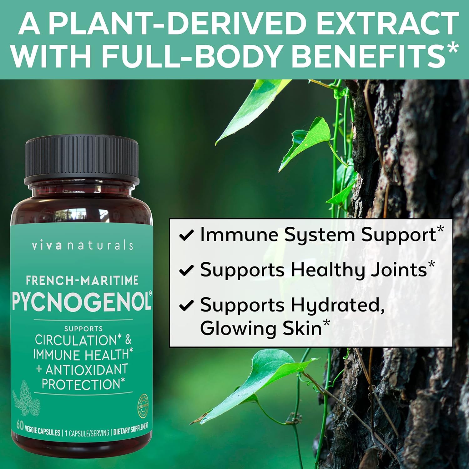 Pycnogenol 100 mg de extracto de corteza de pino marítimo francés