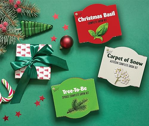 Miniatura 3 de BUZZY Seeds Holiday - Kit de cultivo de mini macetas de terracota, paquete de 12 paquetes surtidos de semillas de albahaca, abeto y alyssum, juego