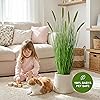 Product Photo 8