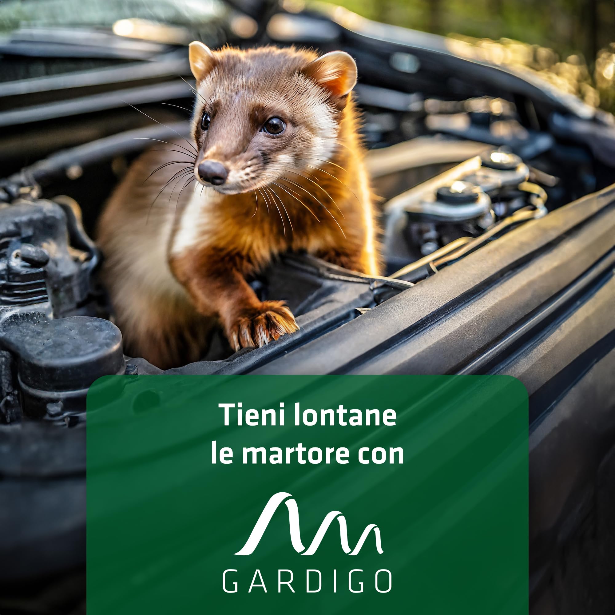 Gardigo® Dispositivo Anti Martore a Batterie | Repellente Antiroditori per Auto, Casa | Facile Sostituzione Batterie | Ultrasuoni per Allontanare Roditori Vano Motore, Soffitta | Repellente Topi Auto